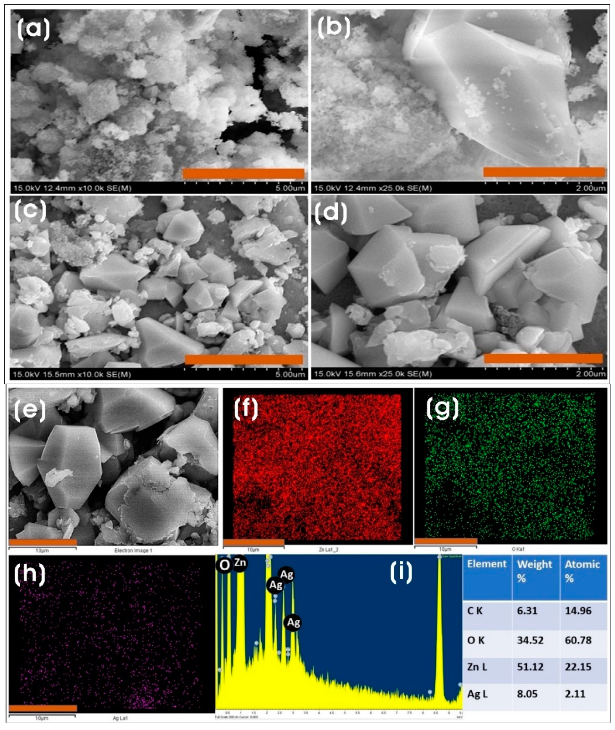 Microorganisms 11 01810 g004 Microorganisms 11 01810 g004