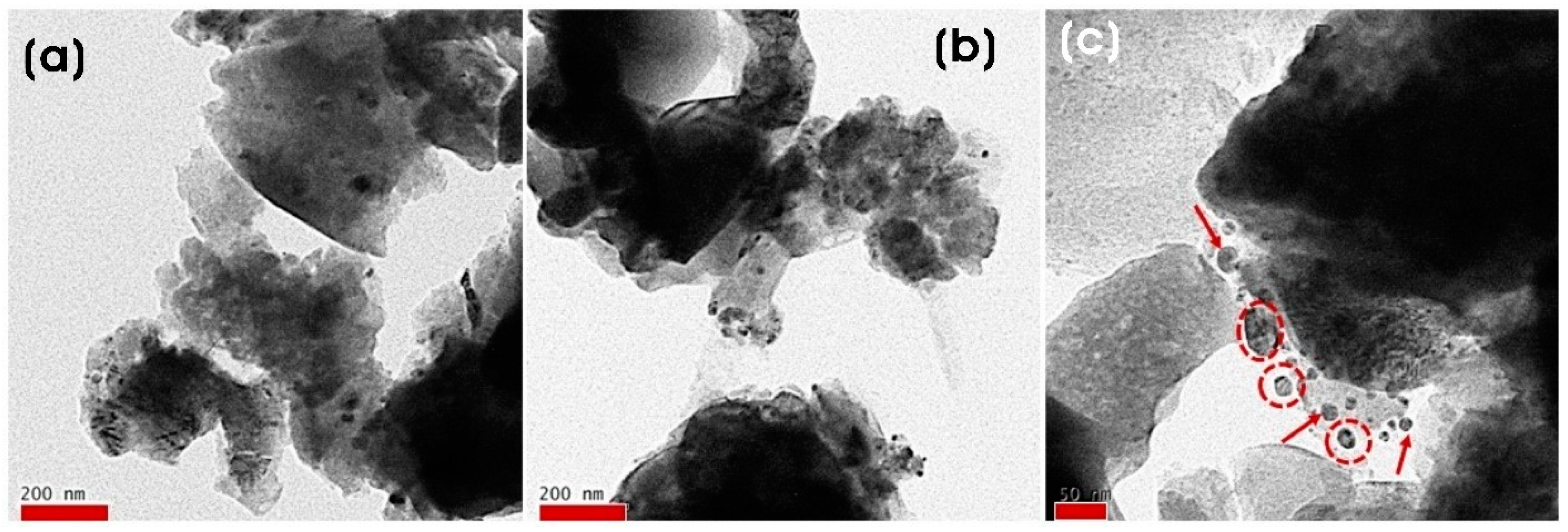 Microorganisms 11 01810 g005 Microorganisms 11 01810 g005