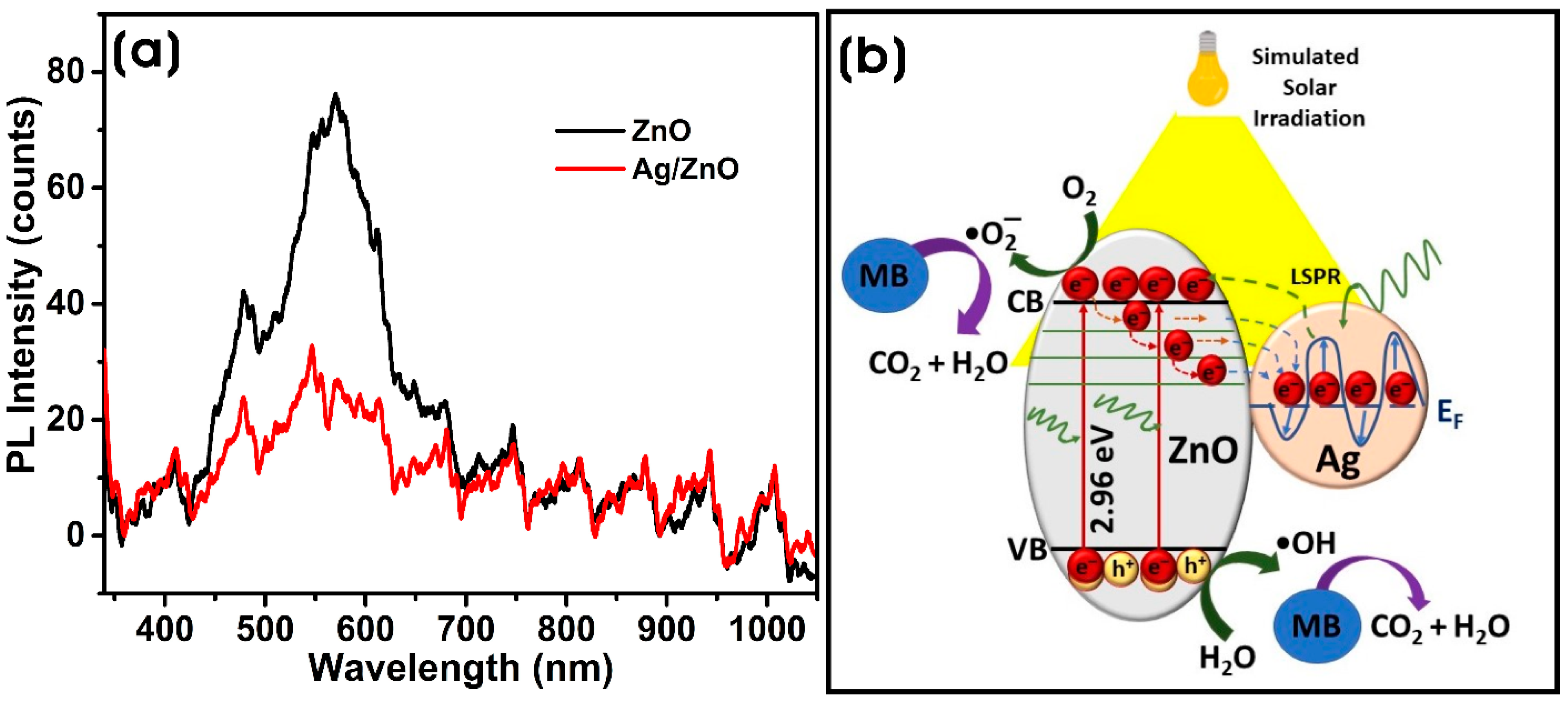 Microorganisms 11 01810 g007 Microorganisms 11 01810 g007