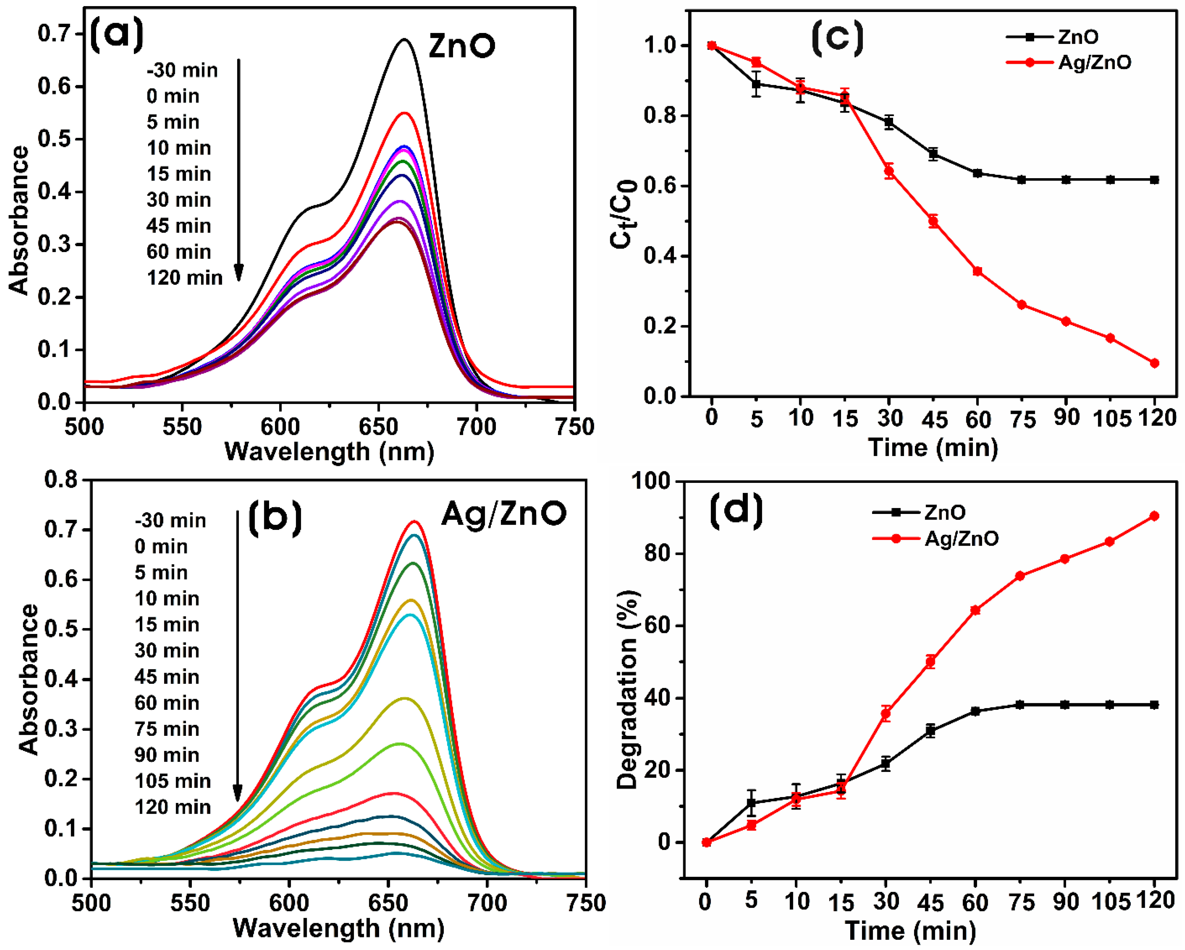 Microorganisms 11 01810 g009 Microorganisms 11 01810 g009