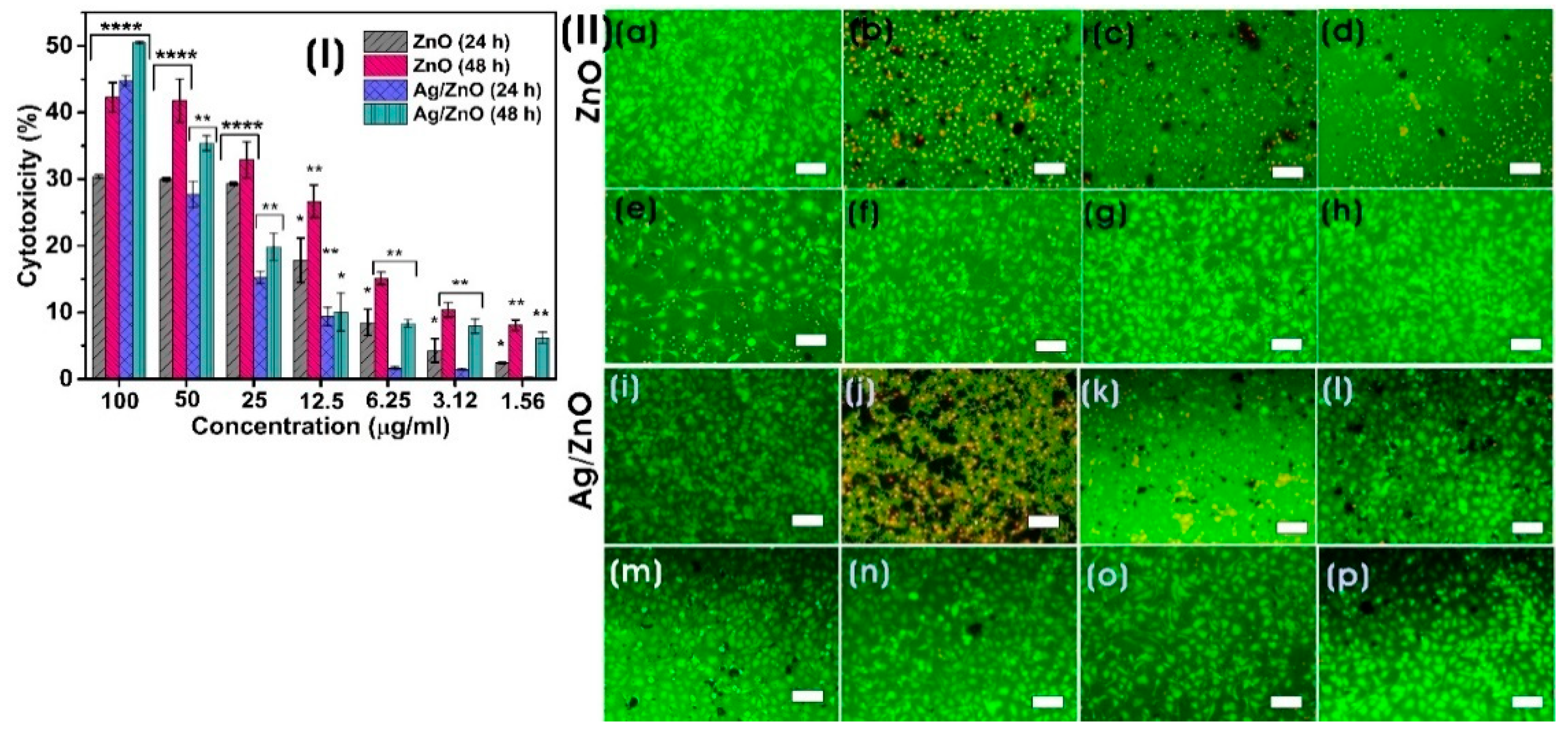 Microorganisms 11 01810 g010 Microorganisms 11 01810 g010