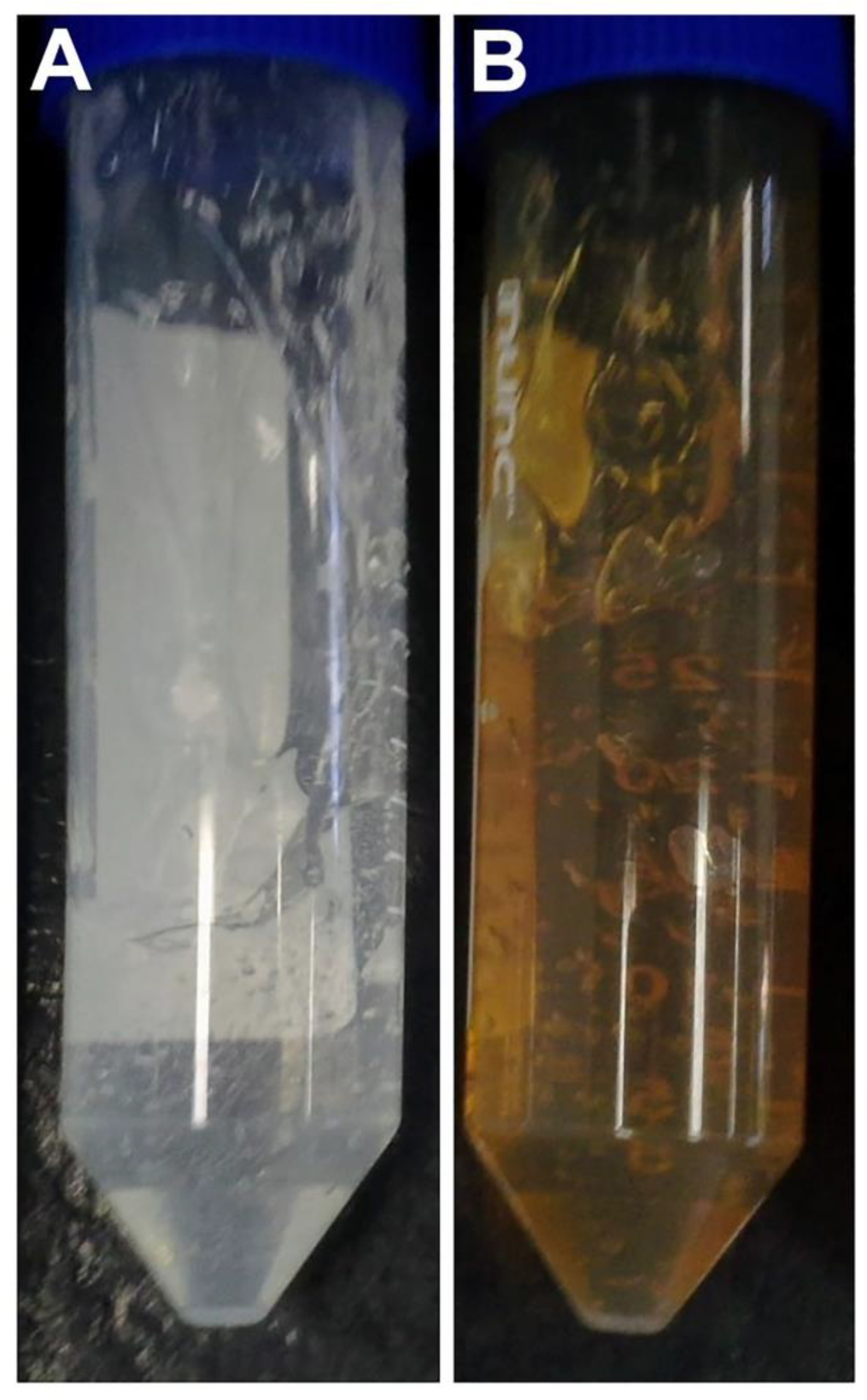 Microorganisms 11 01815 g0a1 Microorganisms 11 01815 g0a1