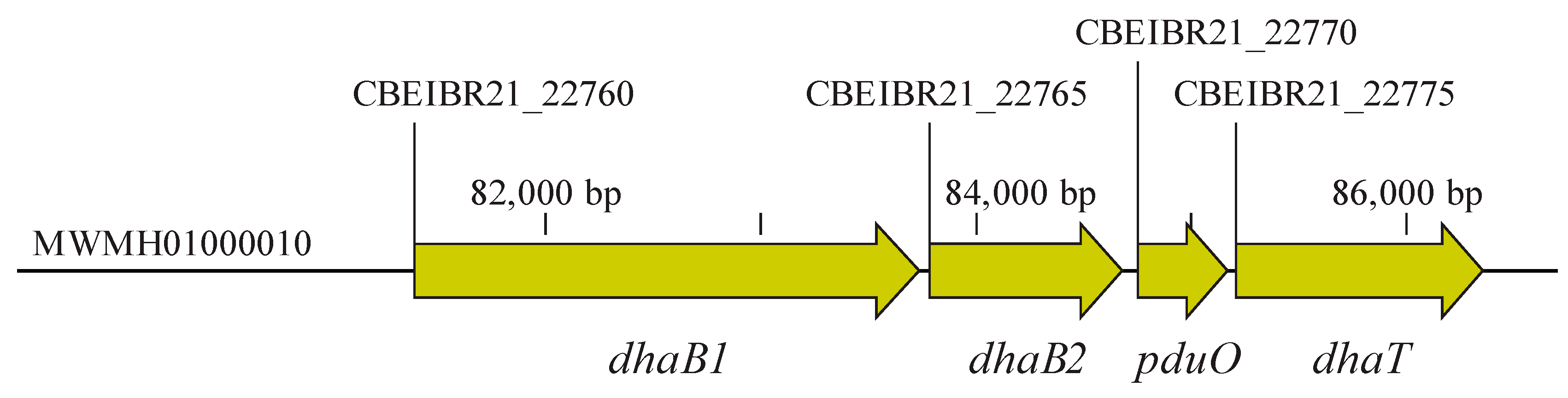 Microorganisms 11 01855 g002