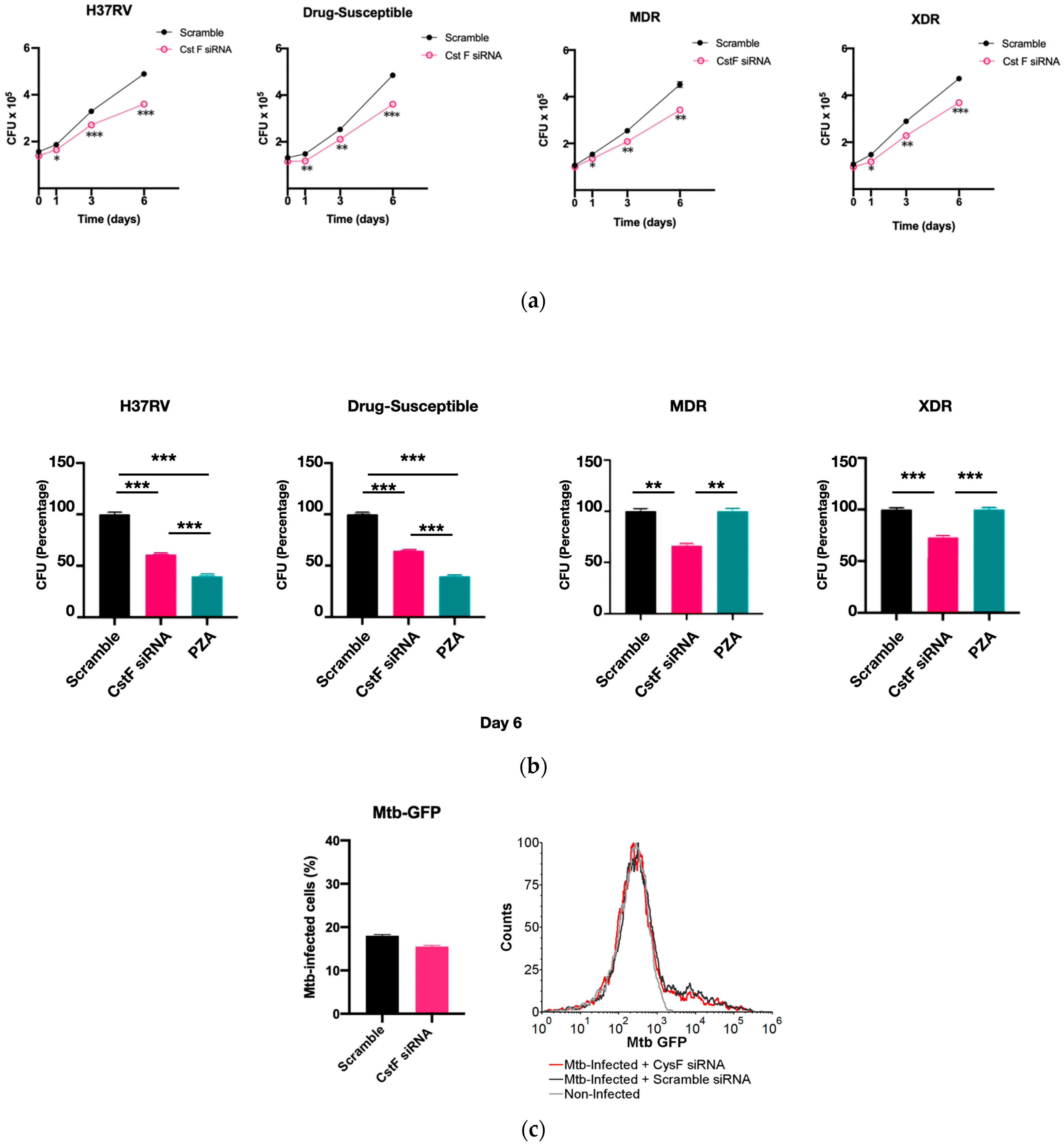 Microorganisms 11 01861 g002a Microorganisms 11 01861 g002a
