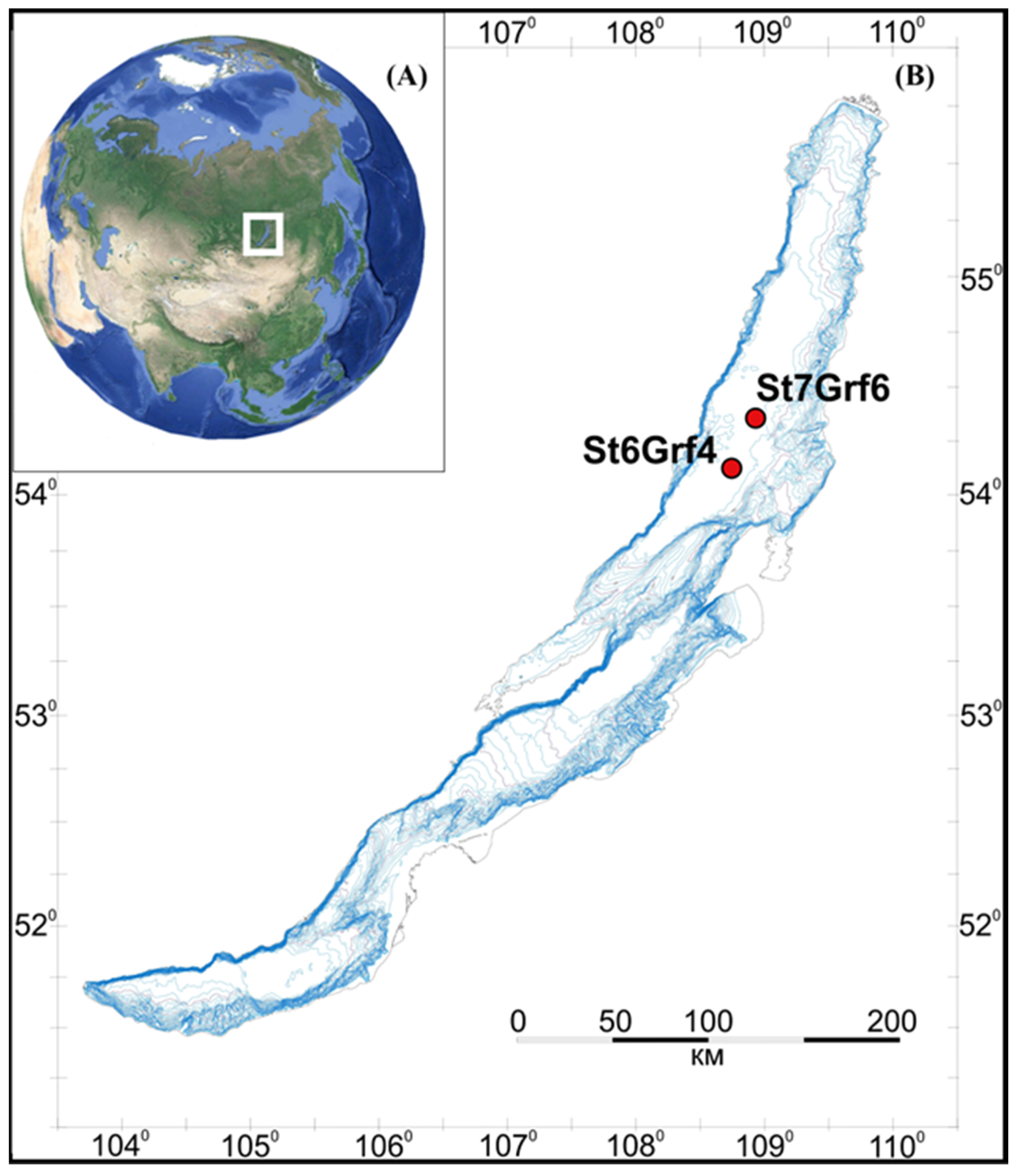 Microorganisms 11 01865 g001