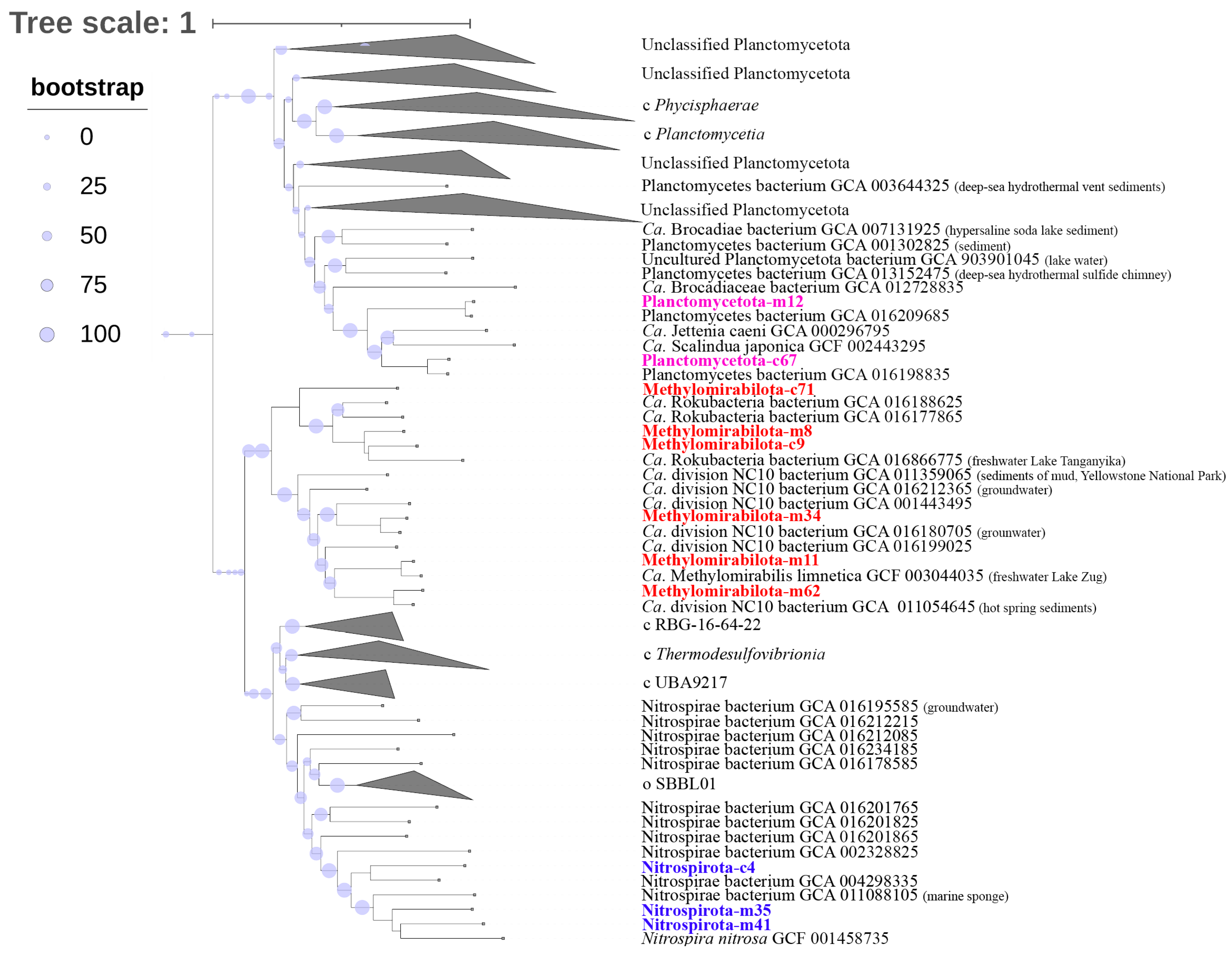 Microorganisms 11 01865 g006