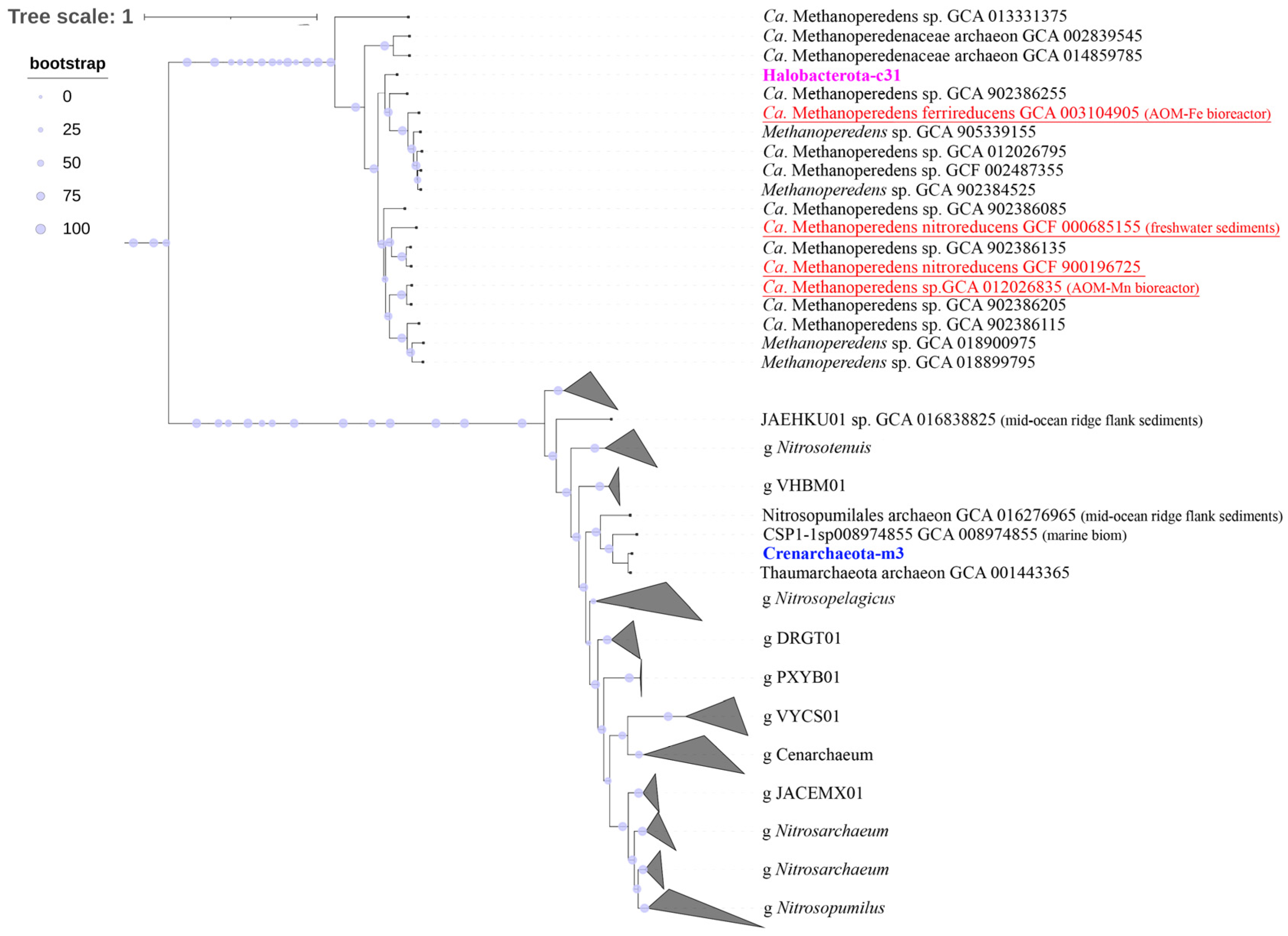 Microorganisms 11 01865 g007