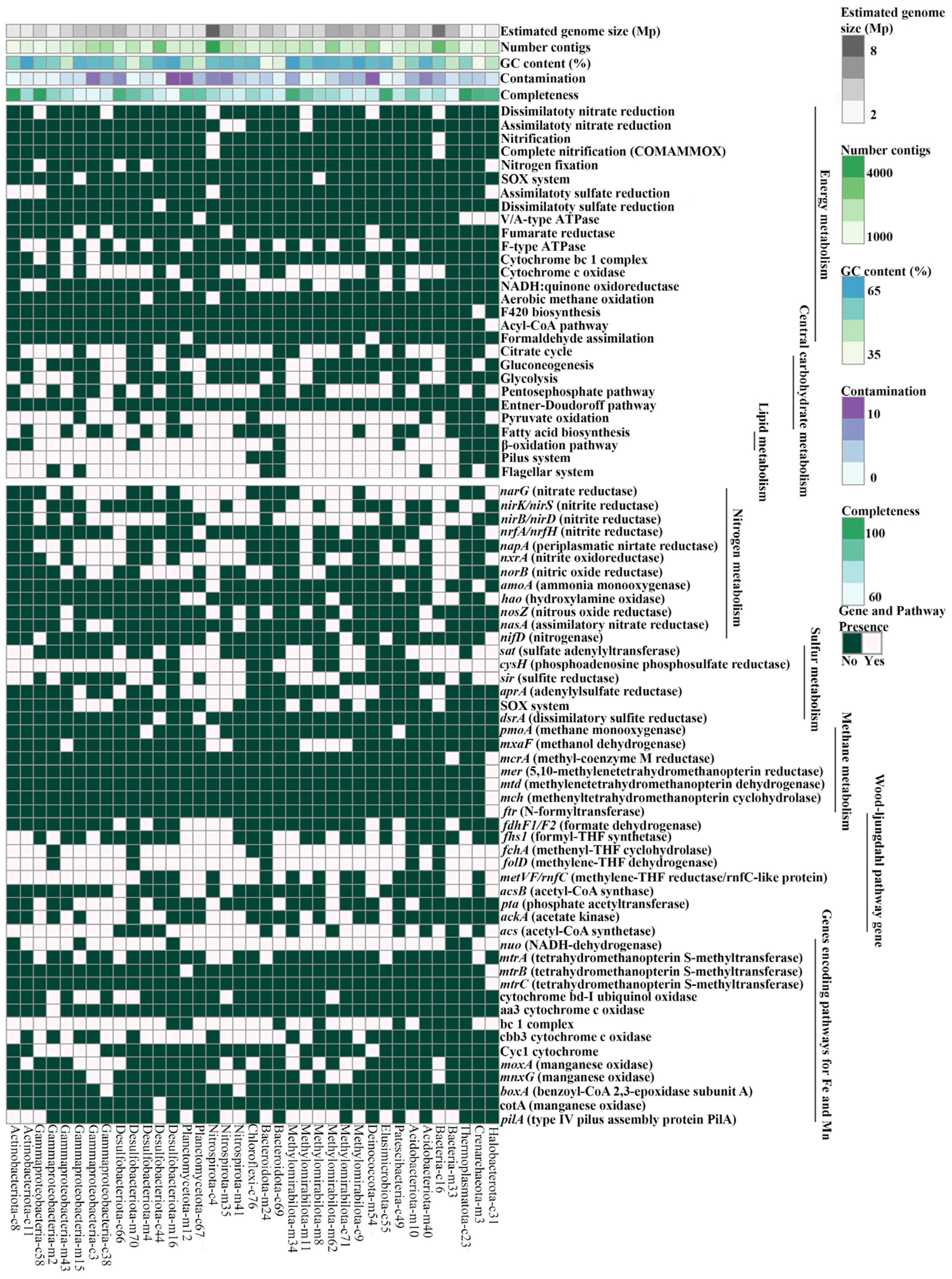 Microorganisms 11 01865 g008