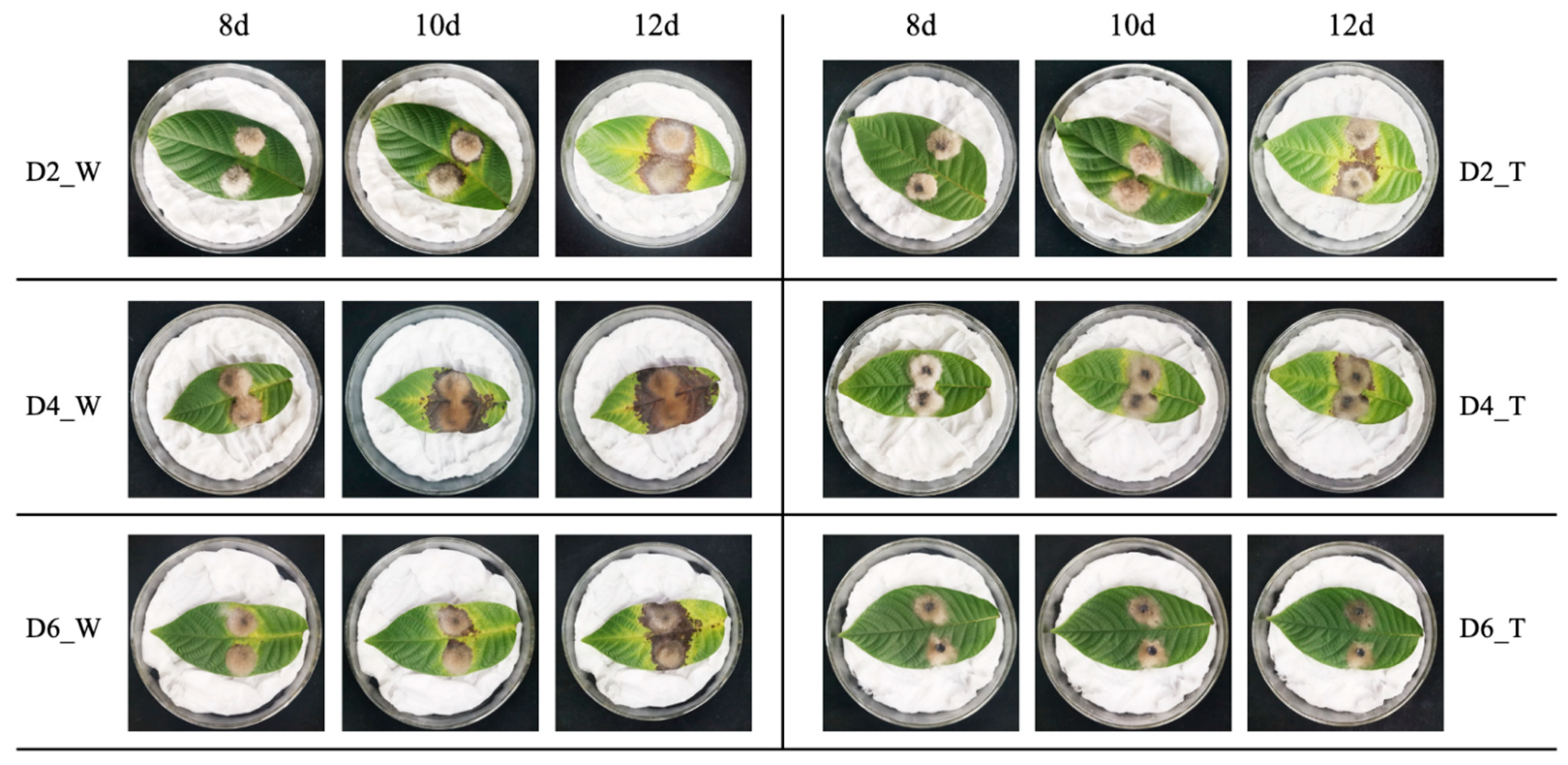 Microorganisms 11 01885 g003