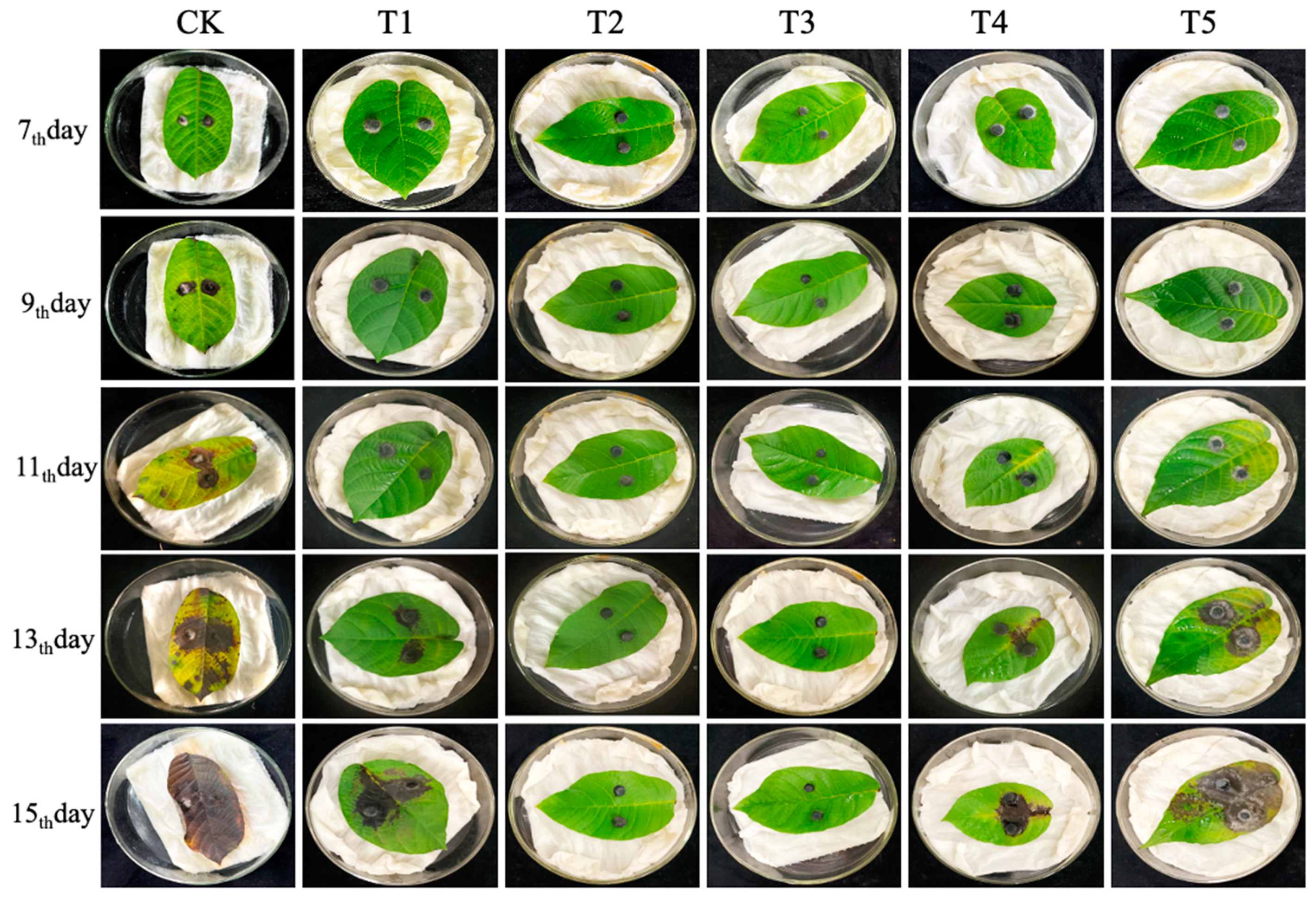 Microorganisms 11 01885 g007