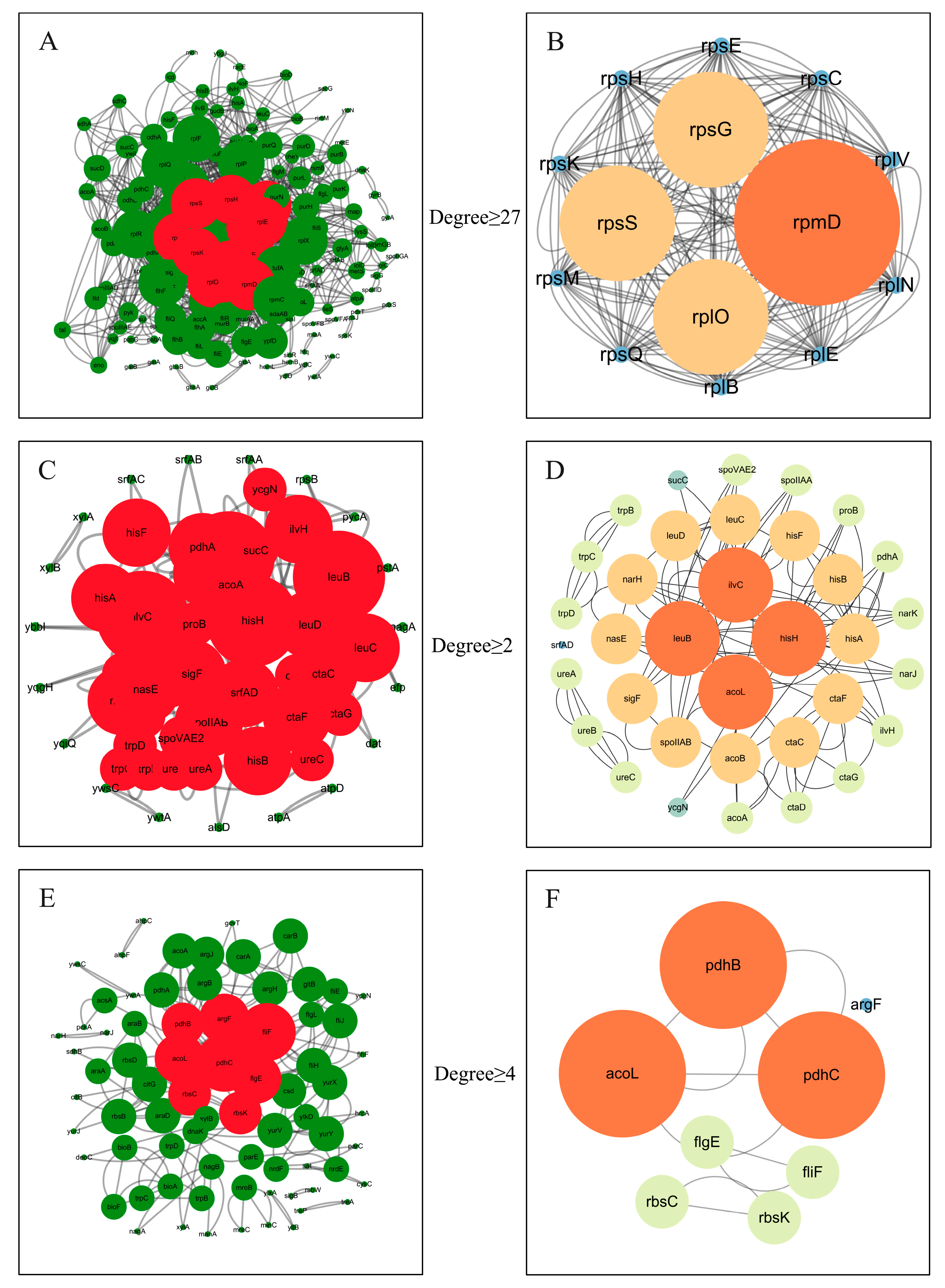 Microorganisms 11 01885 g012