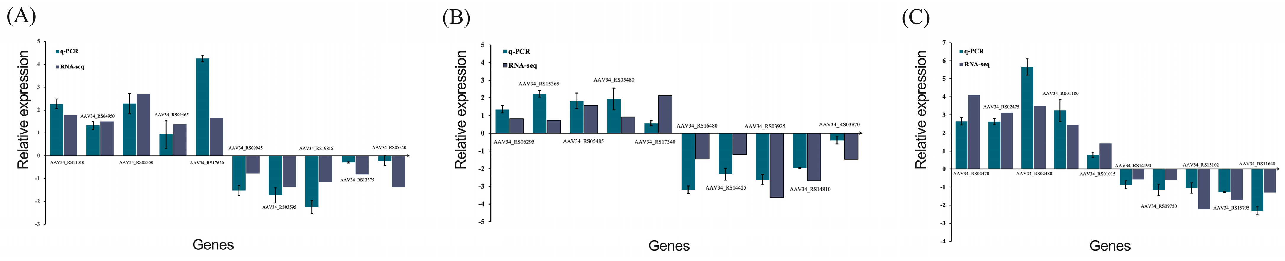 Microorganisms 11 01885 g013