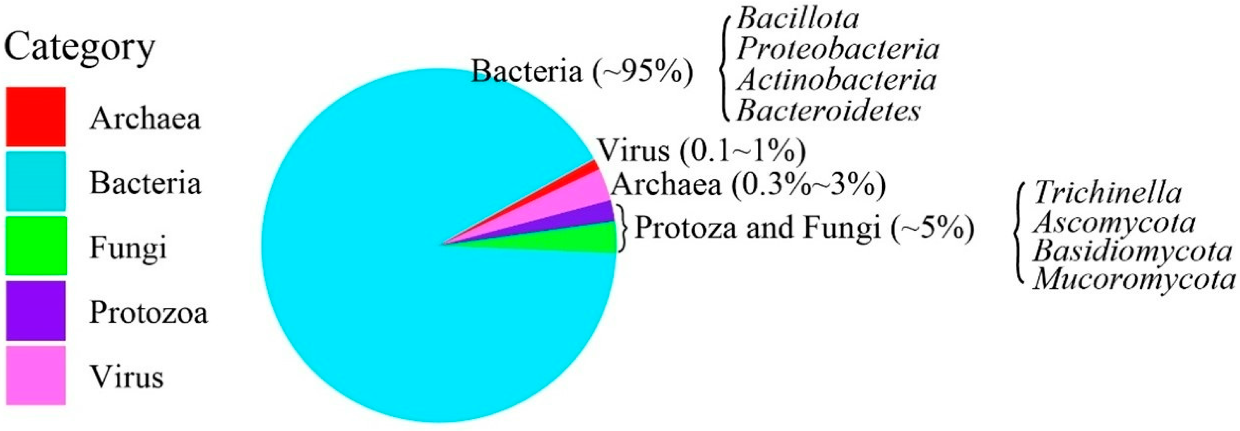 Farm dust resistomes and bacterial microbiomes in European poultry