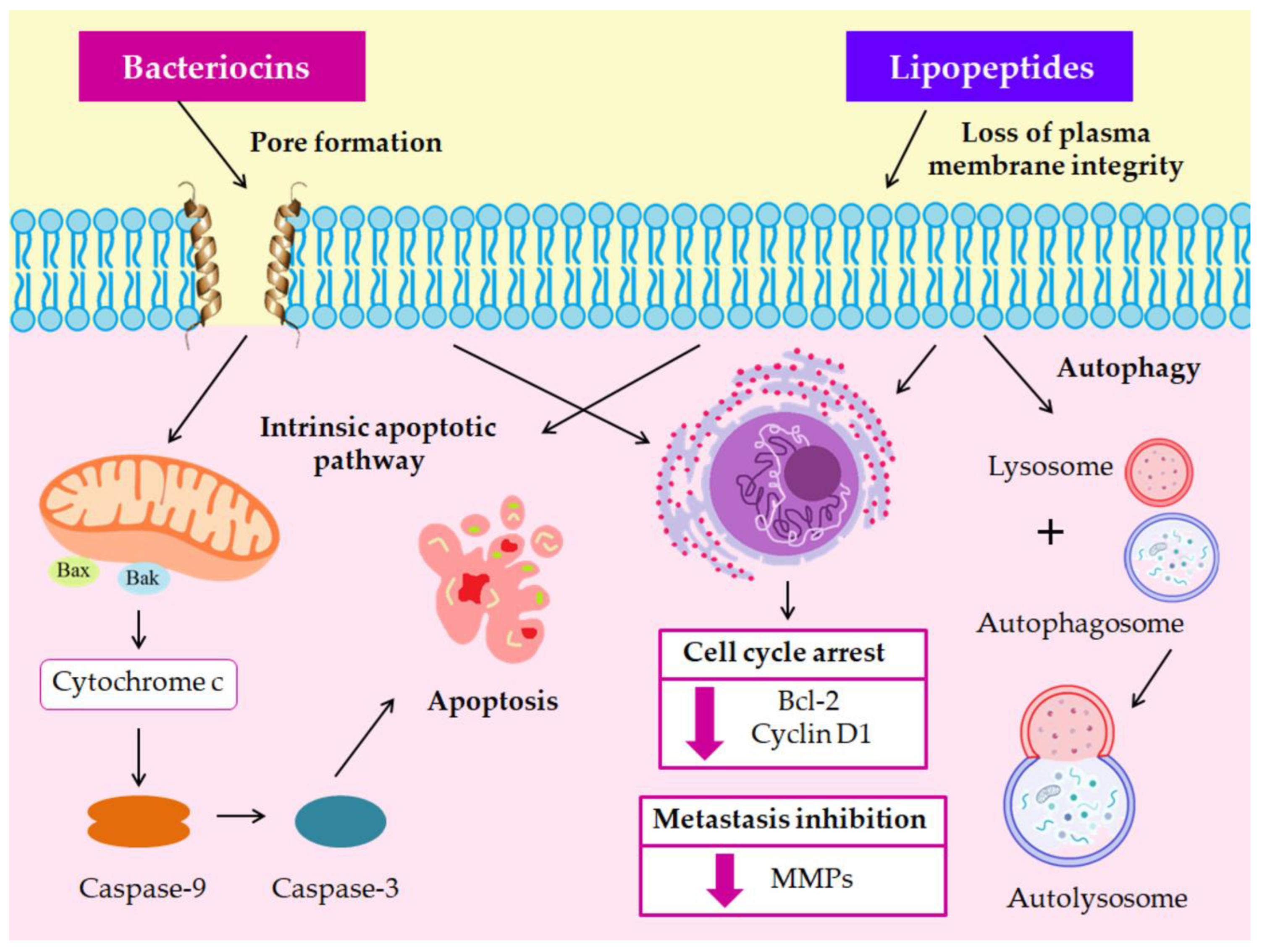 Microorganisms 11 01898 g002 Microorganisms 11 01898 g002