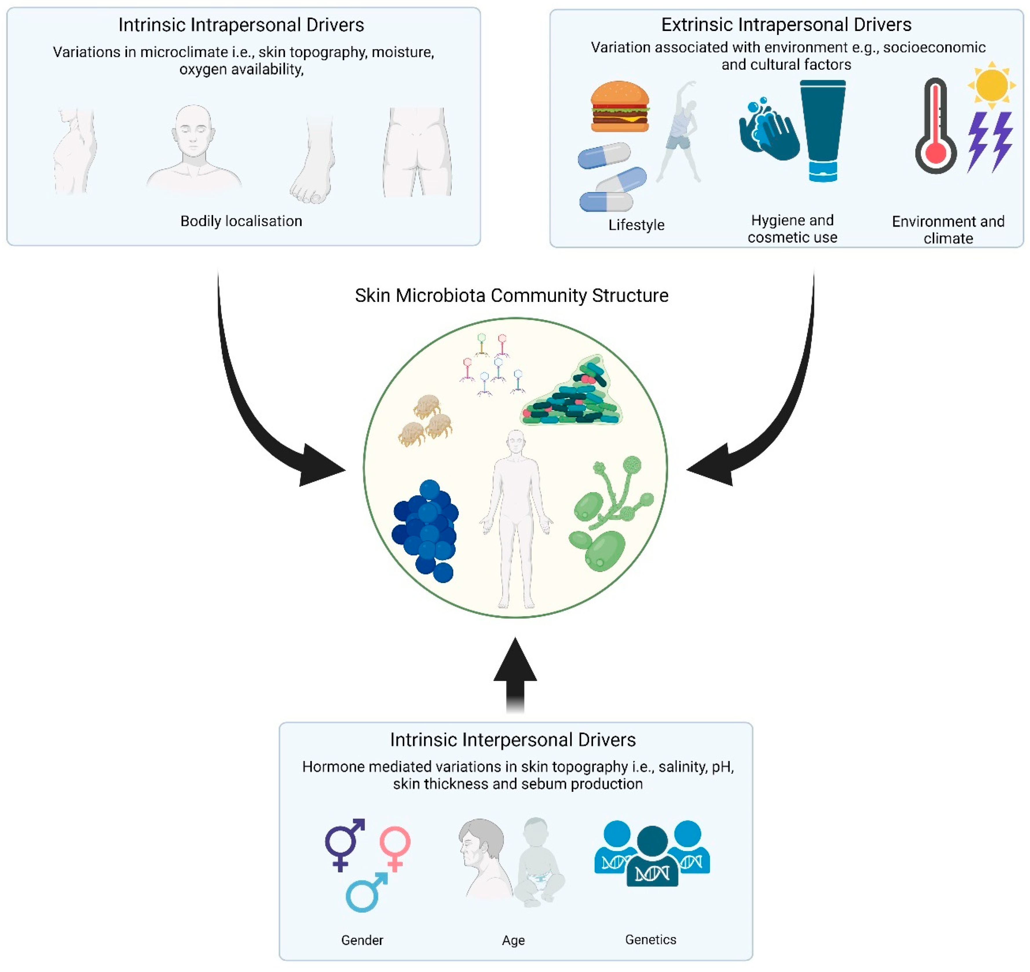Microorganisms 11 01899 g002