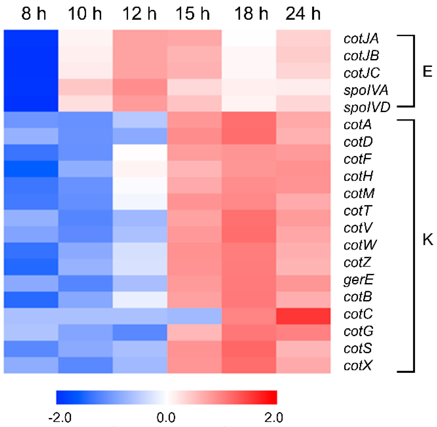 Microorganisms 11 01928 g006 Microorganisms 11 01928 g006