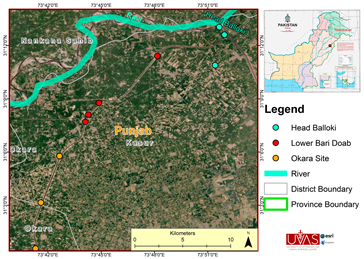 Microorganisms 11 01940 i001 Microorganisms 11 01940 i001