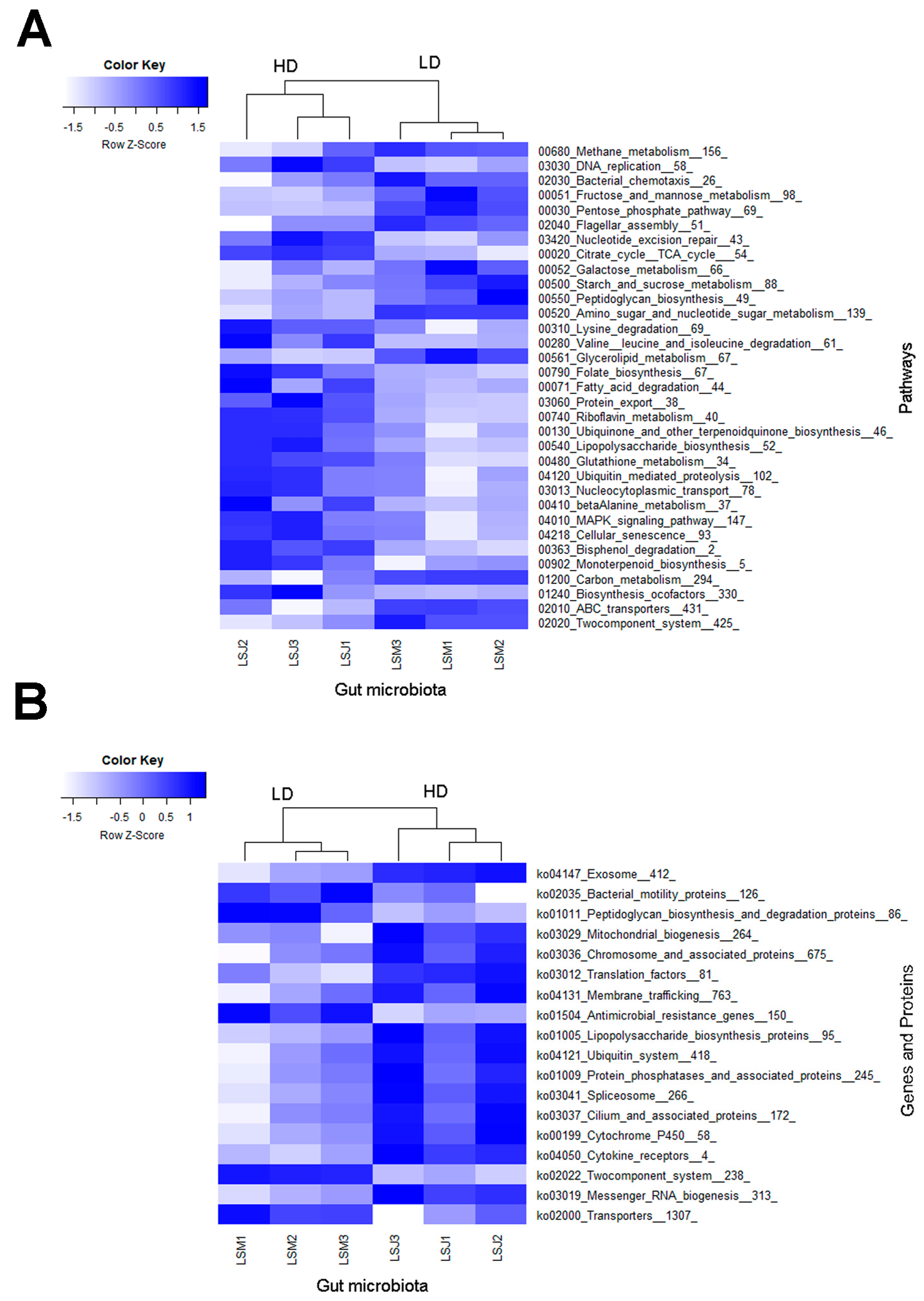 Microorganisms 11 01972 g005