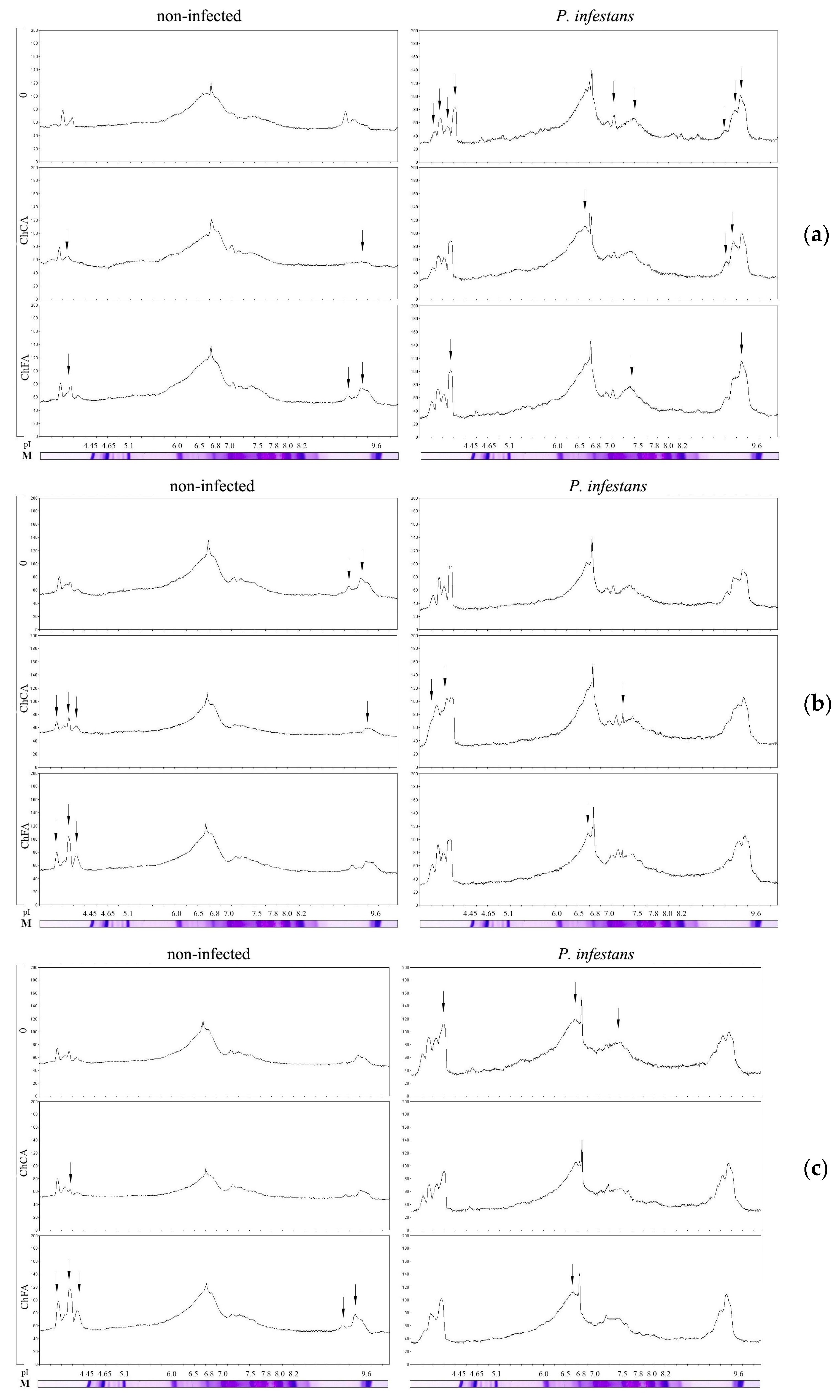 Microorganisms 11 01993 g004