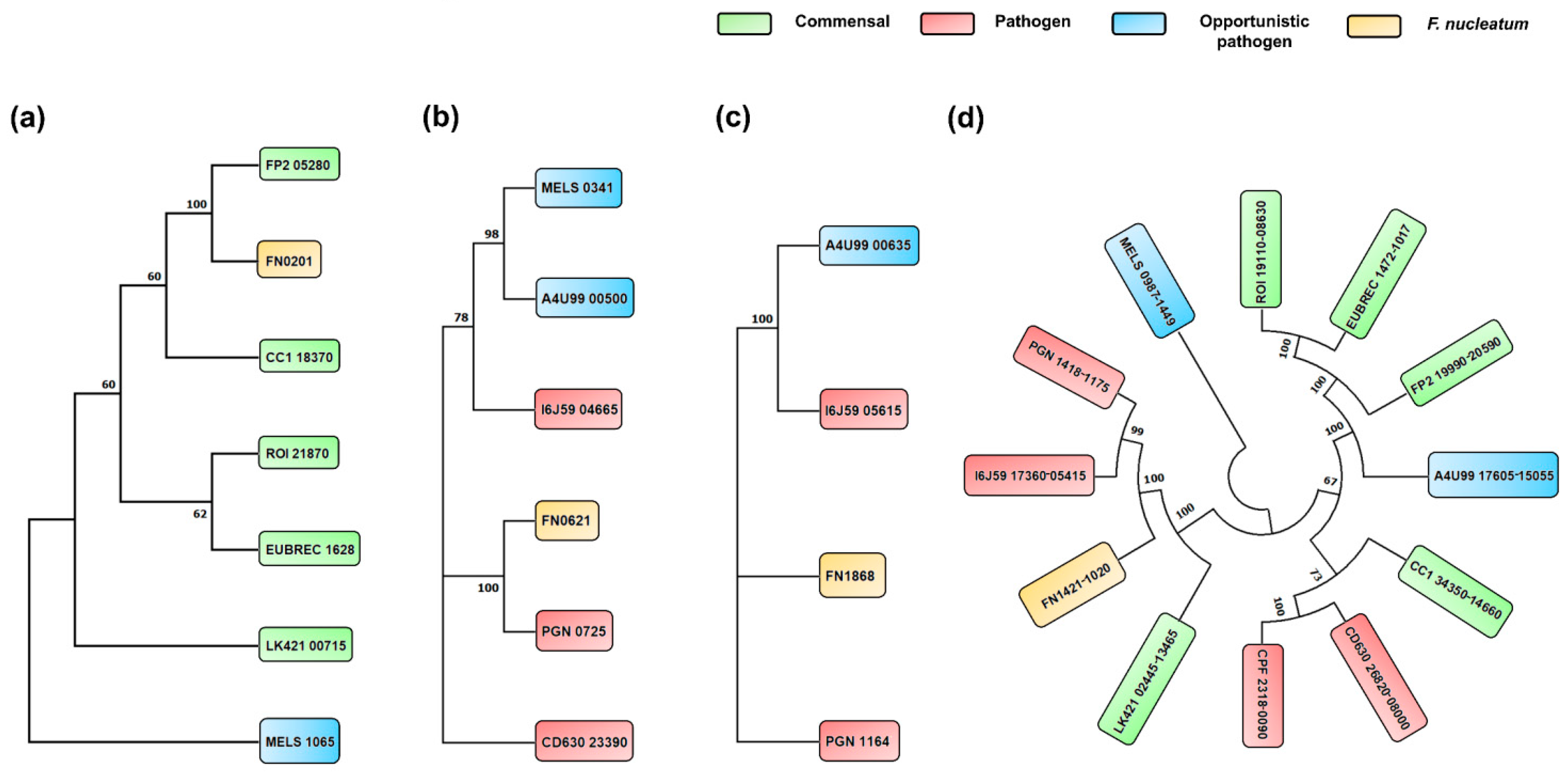 Microorganisms 11 02004 g005 Microorganisms 11 02004 g005