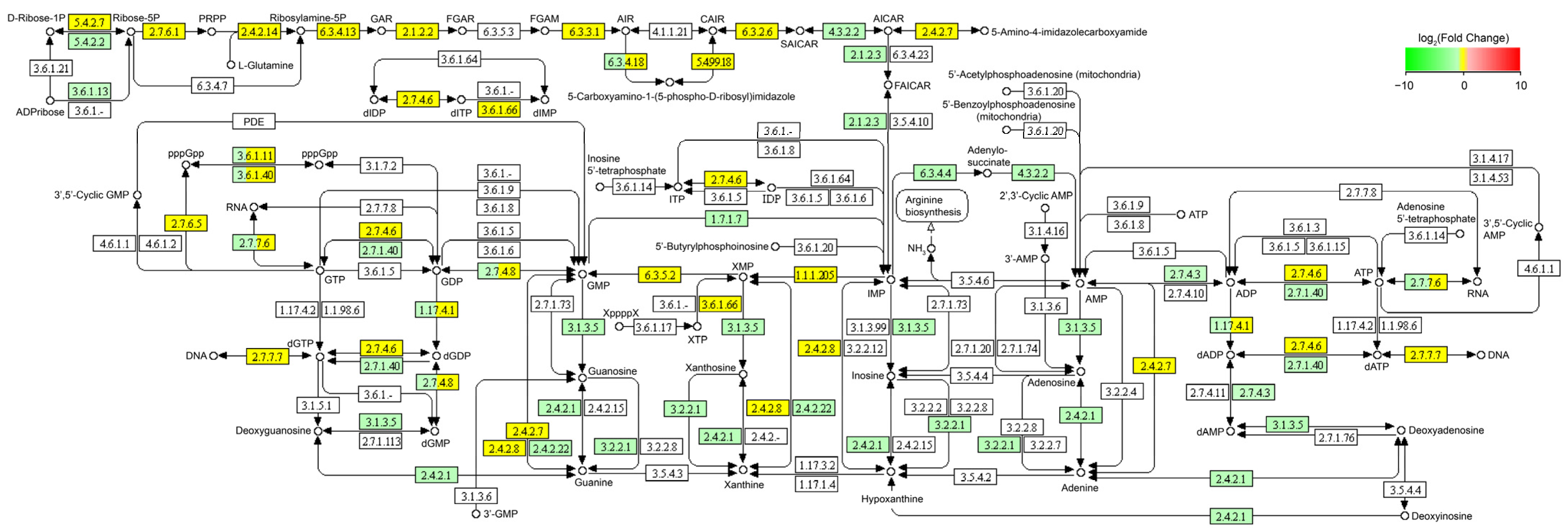 Microorganisms 11 02007 g005