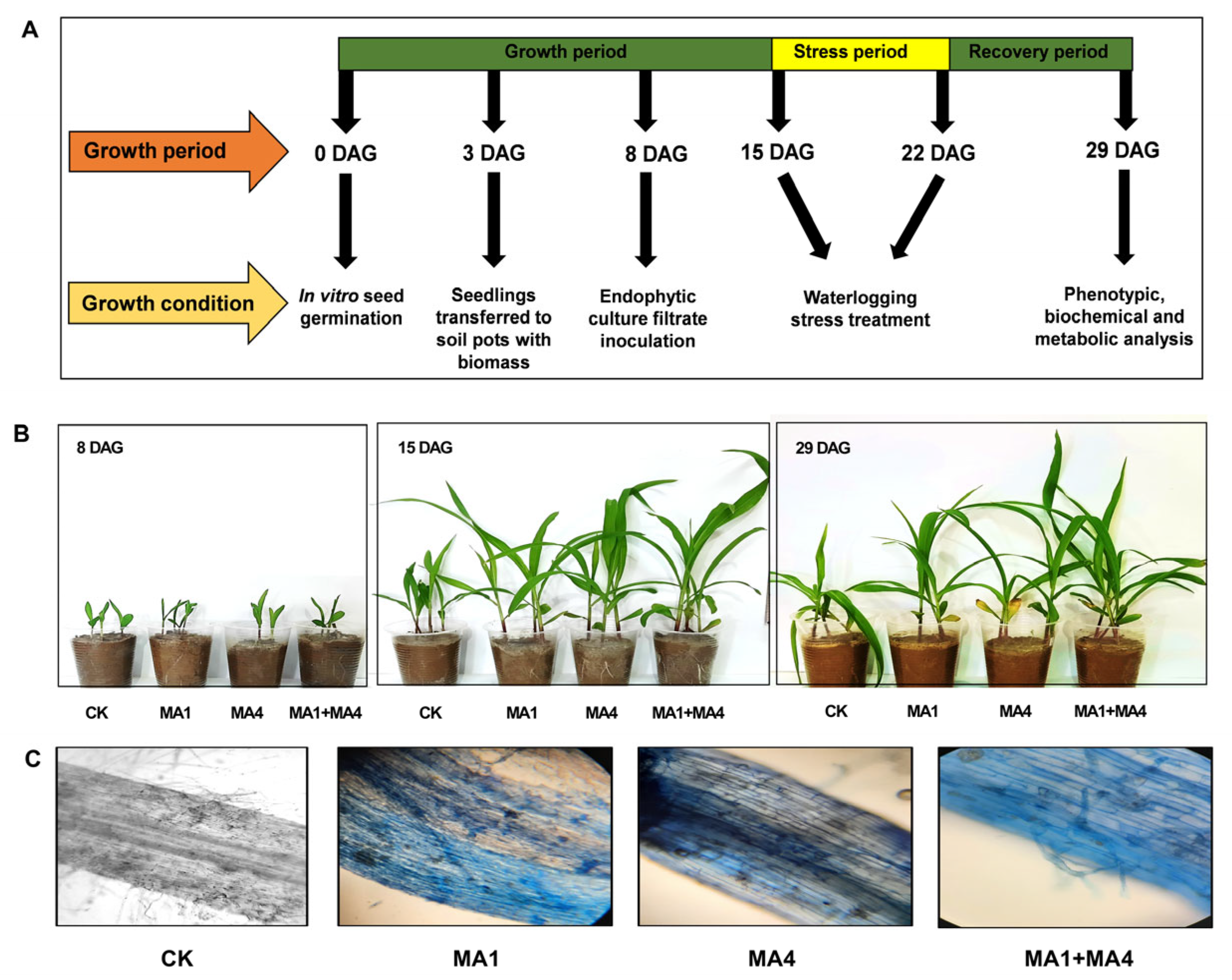Microorganisms 11 02025 g003