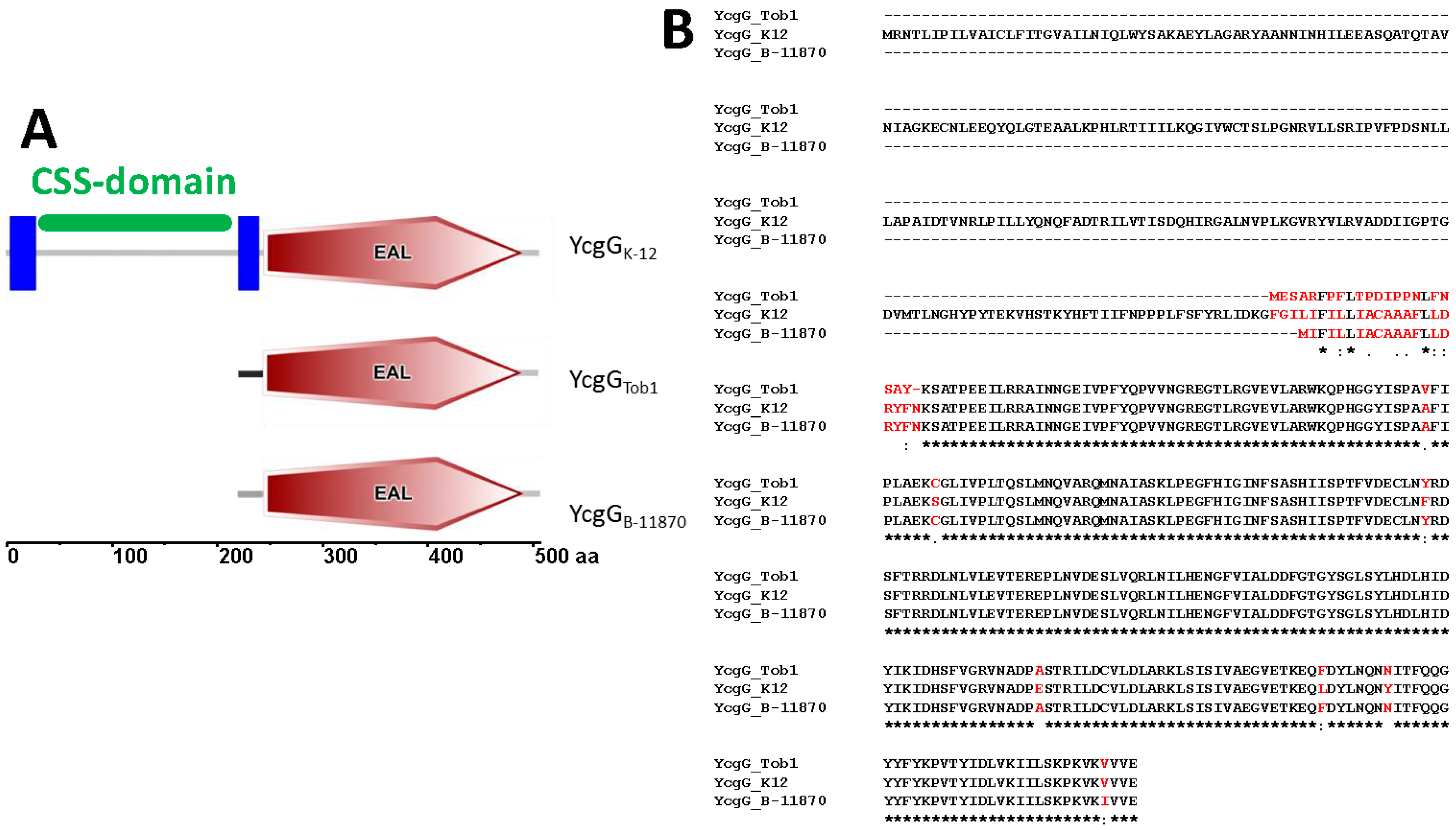 Microorganisms 11 02048 g001 Microorganisms 11 02048 g001