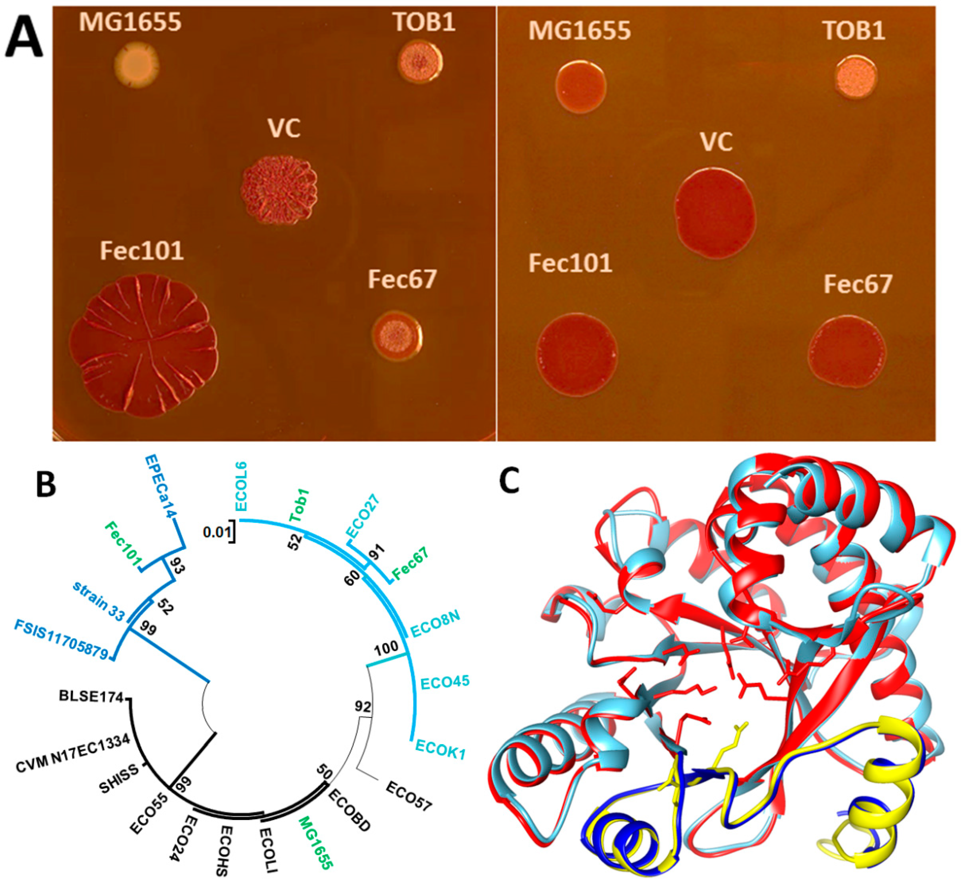 Microorganisms 11 02048 g003 Microorganisms 11 02048 g003
