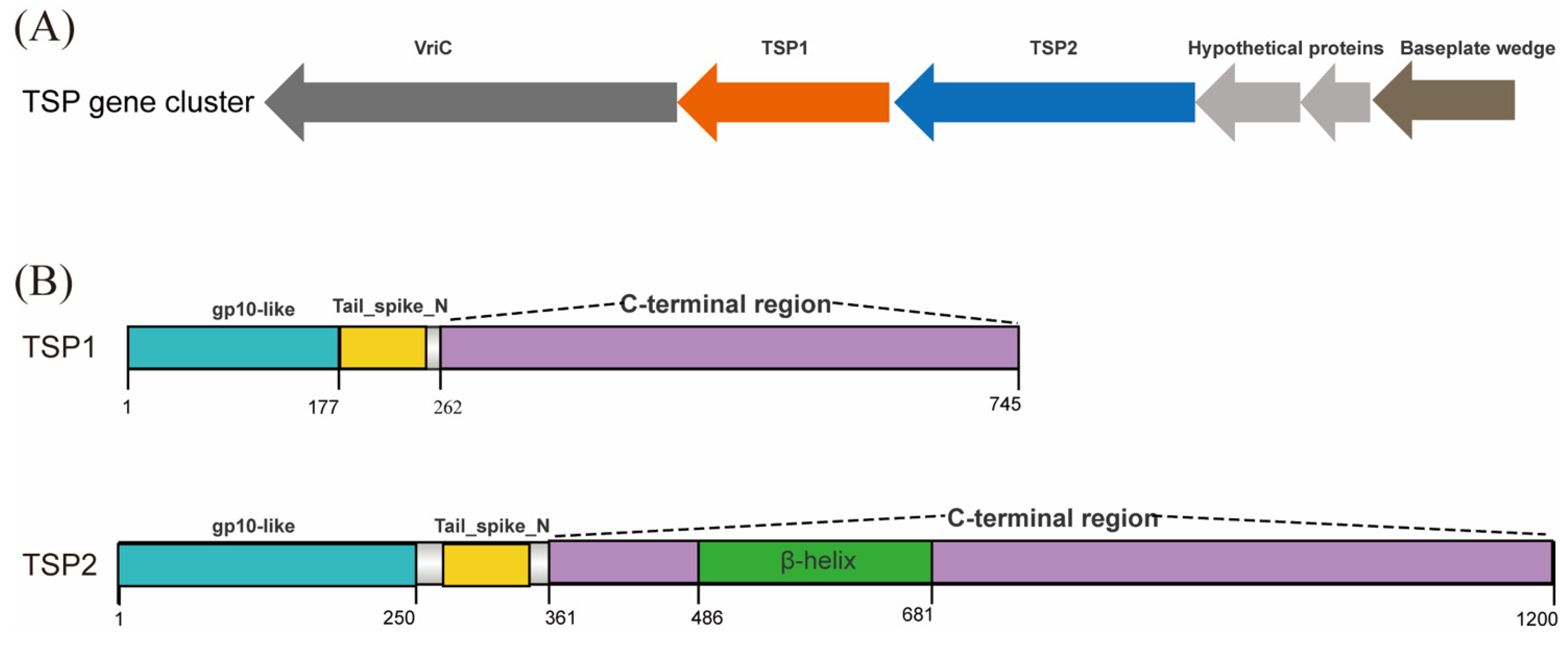 Microorganisms 11 02090 g005