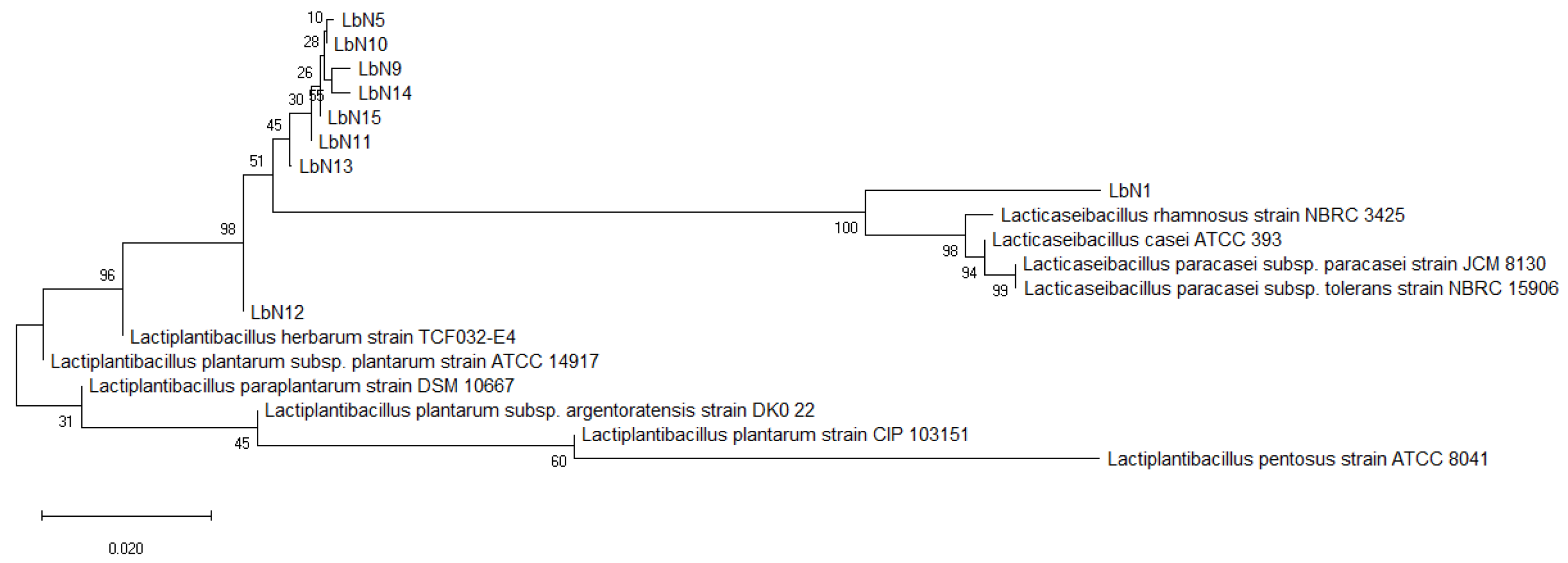 Microorganisms 11 02091 g002