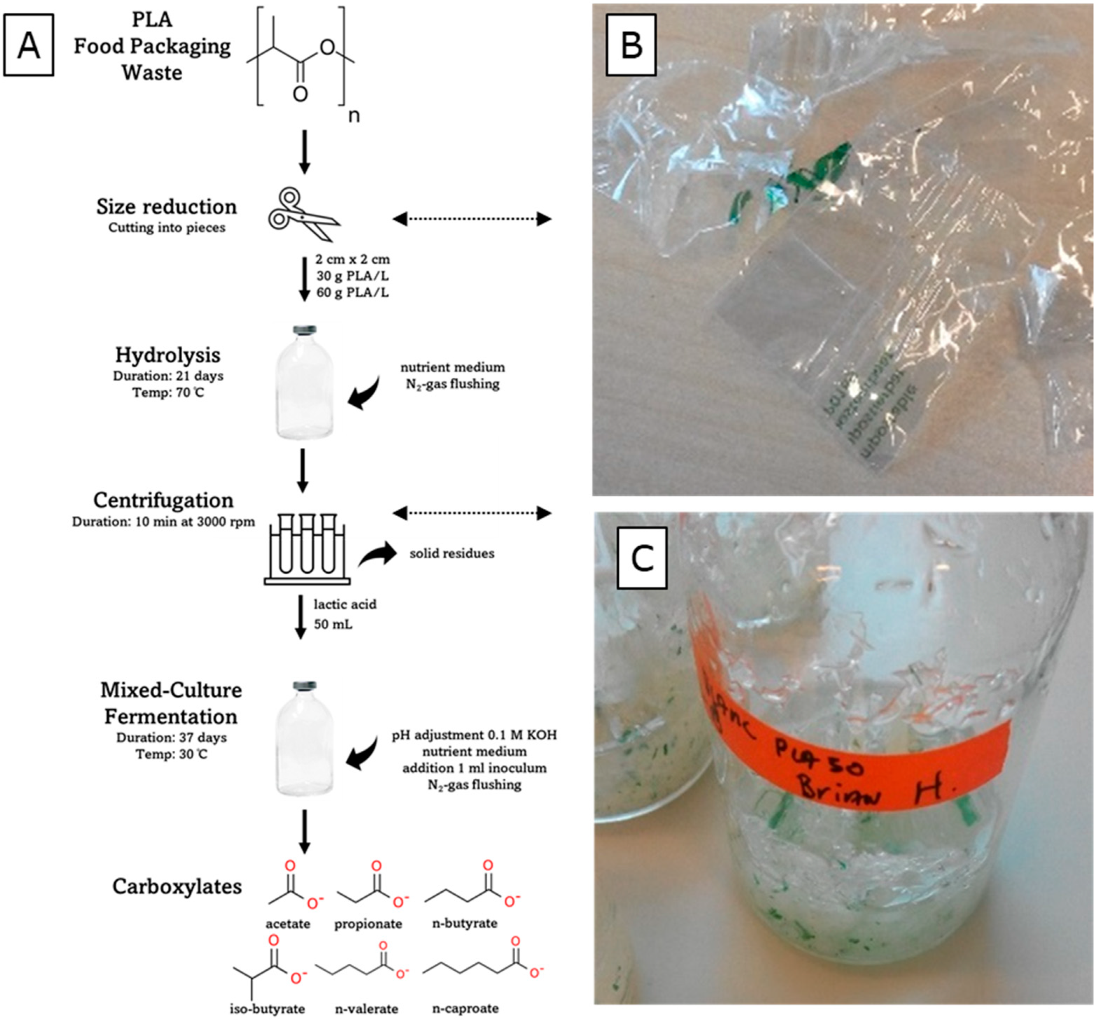 Microorganisms 11 02103 g001