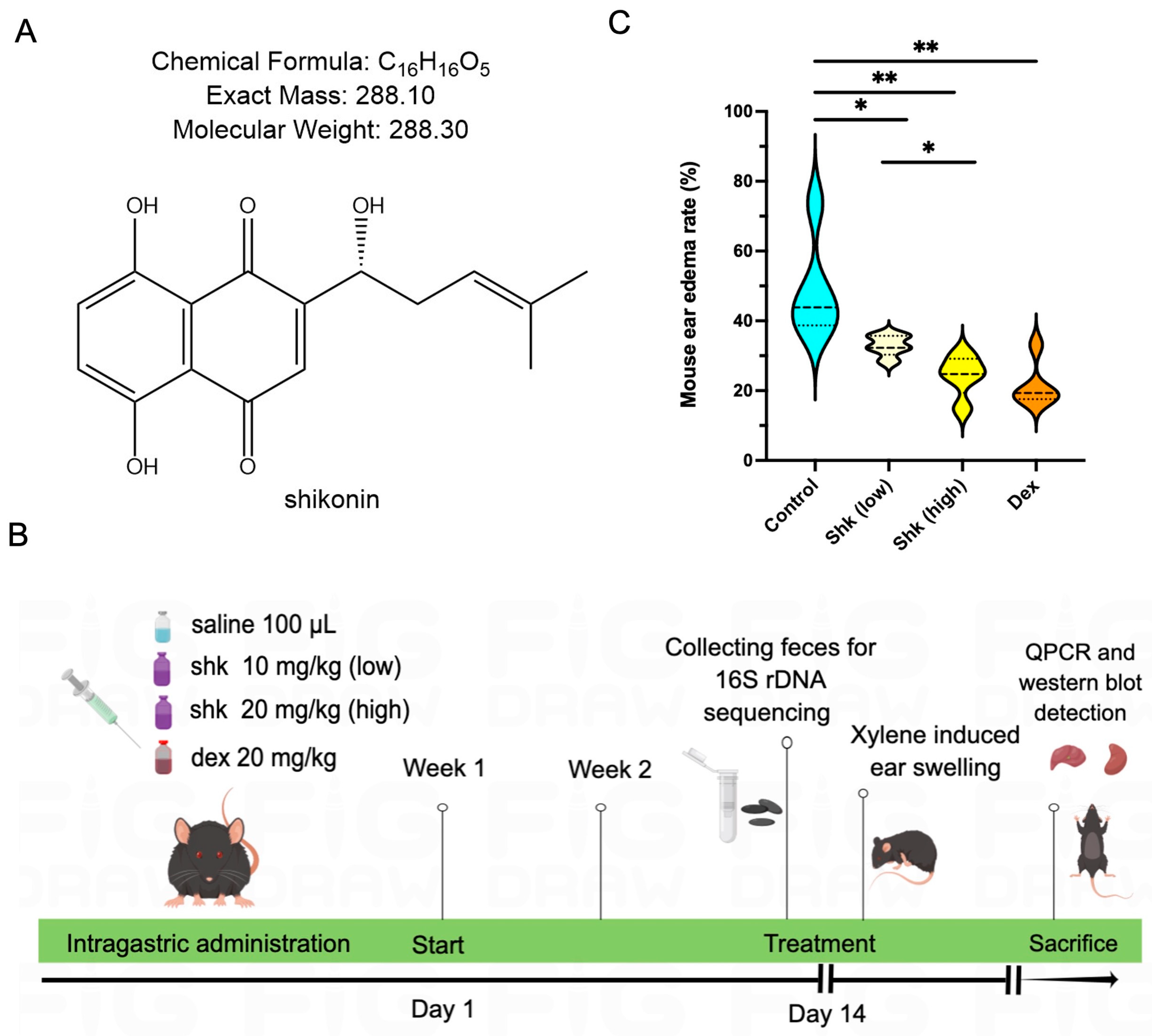 Microorganisms 11 02139 g001