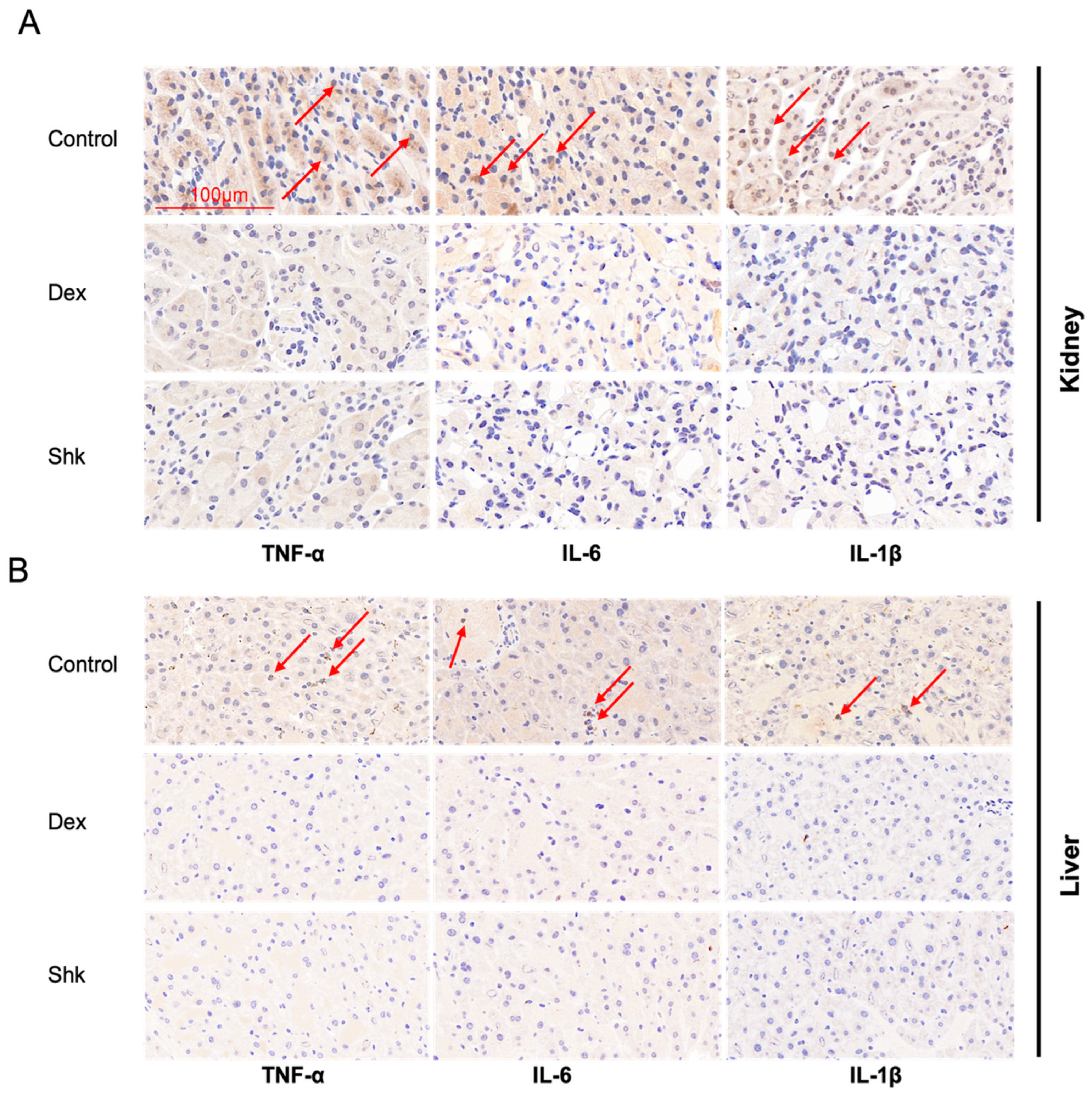 Microorganisms 11 02139 g006