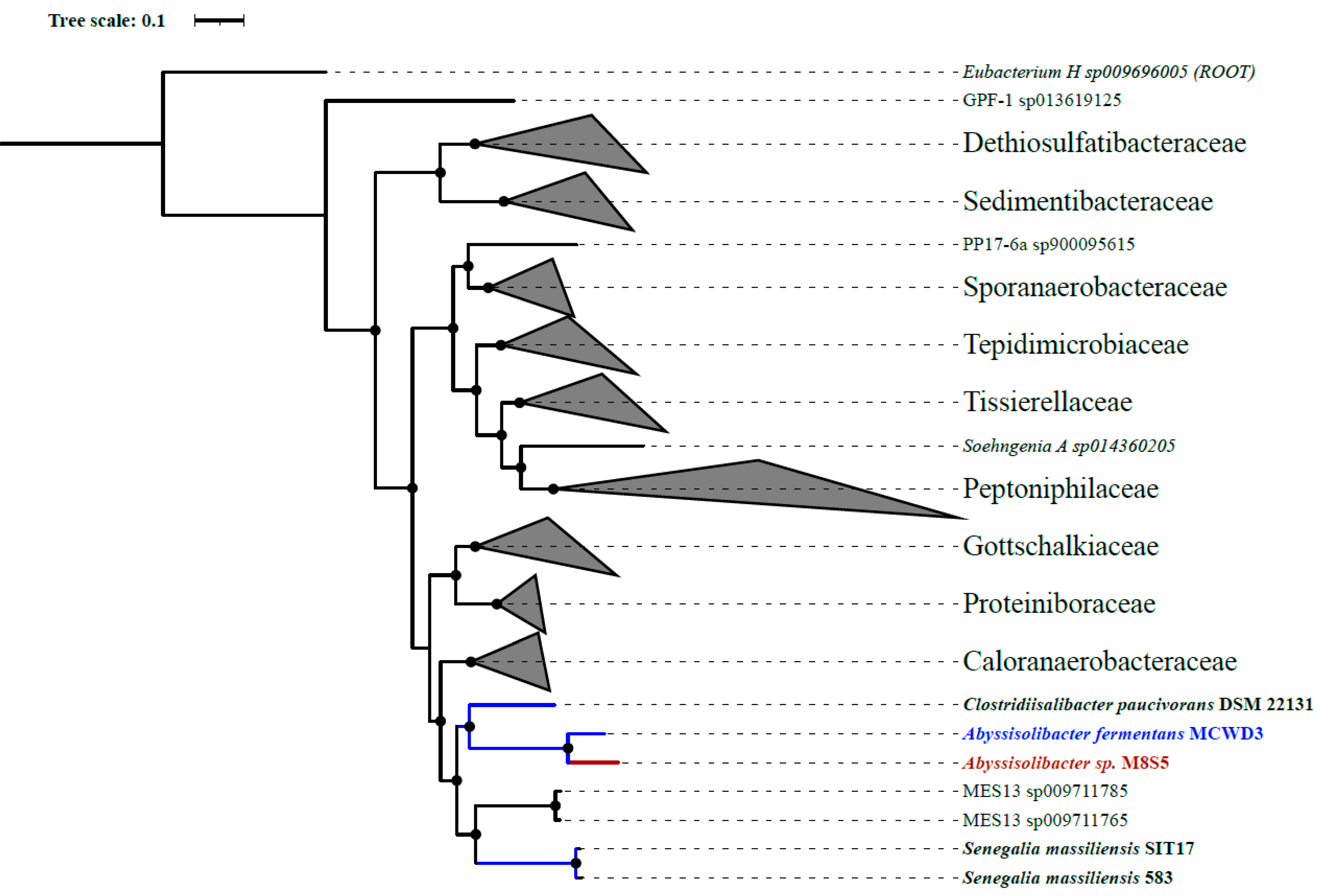 Microorganisms 11 02156 g002