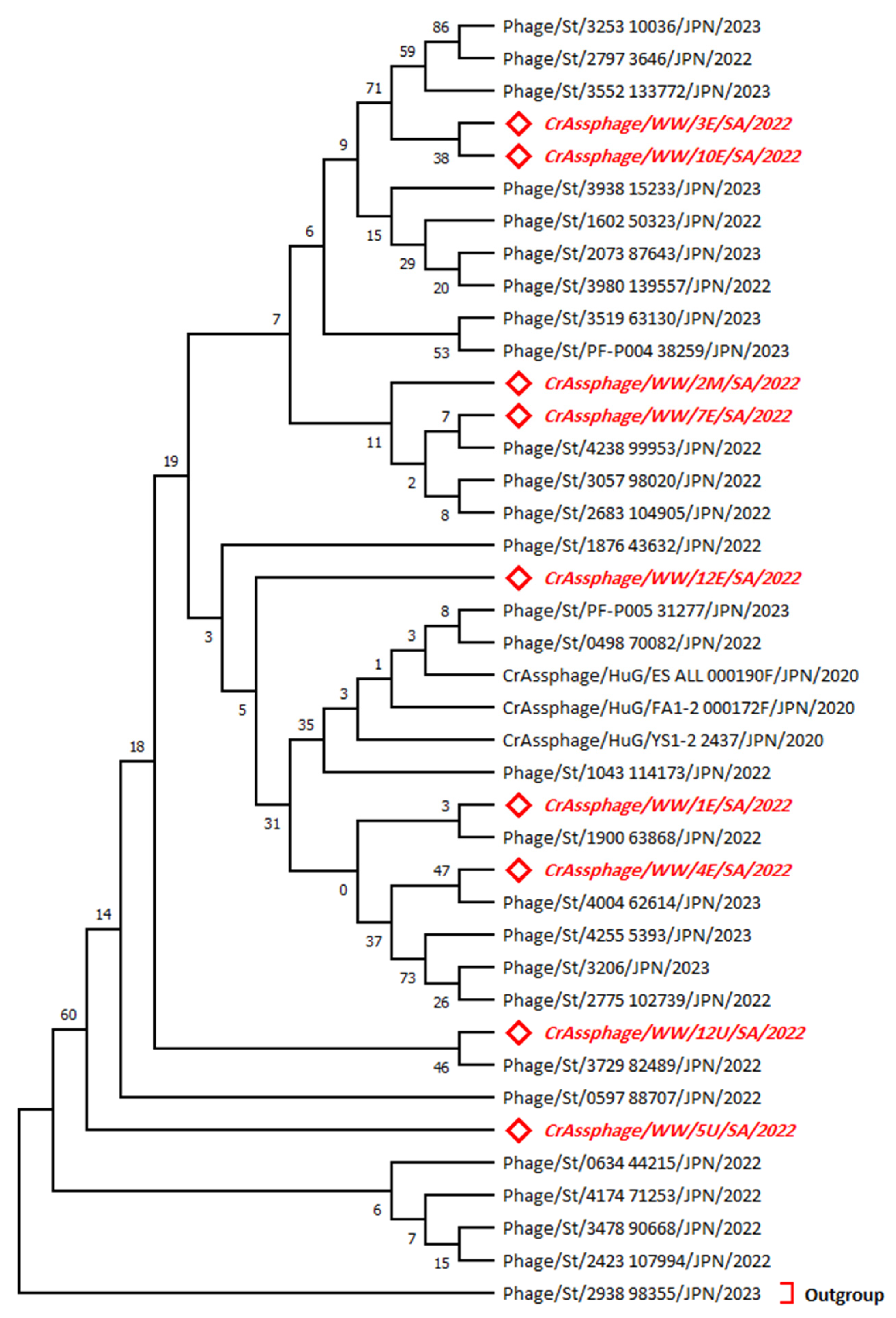 Microorganisms 11 02167 g002