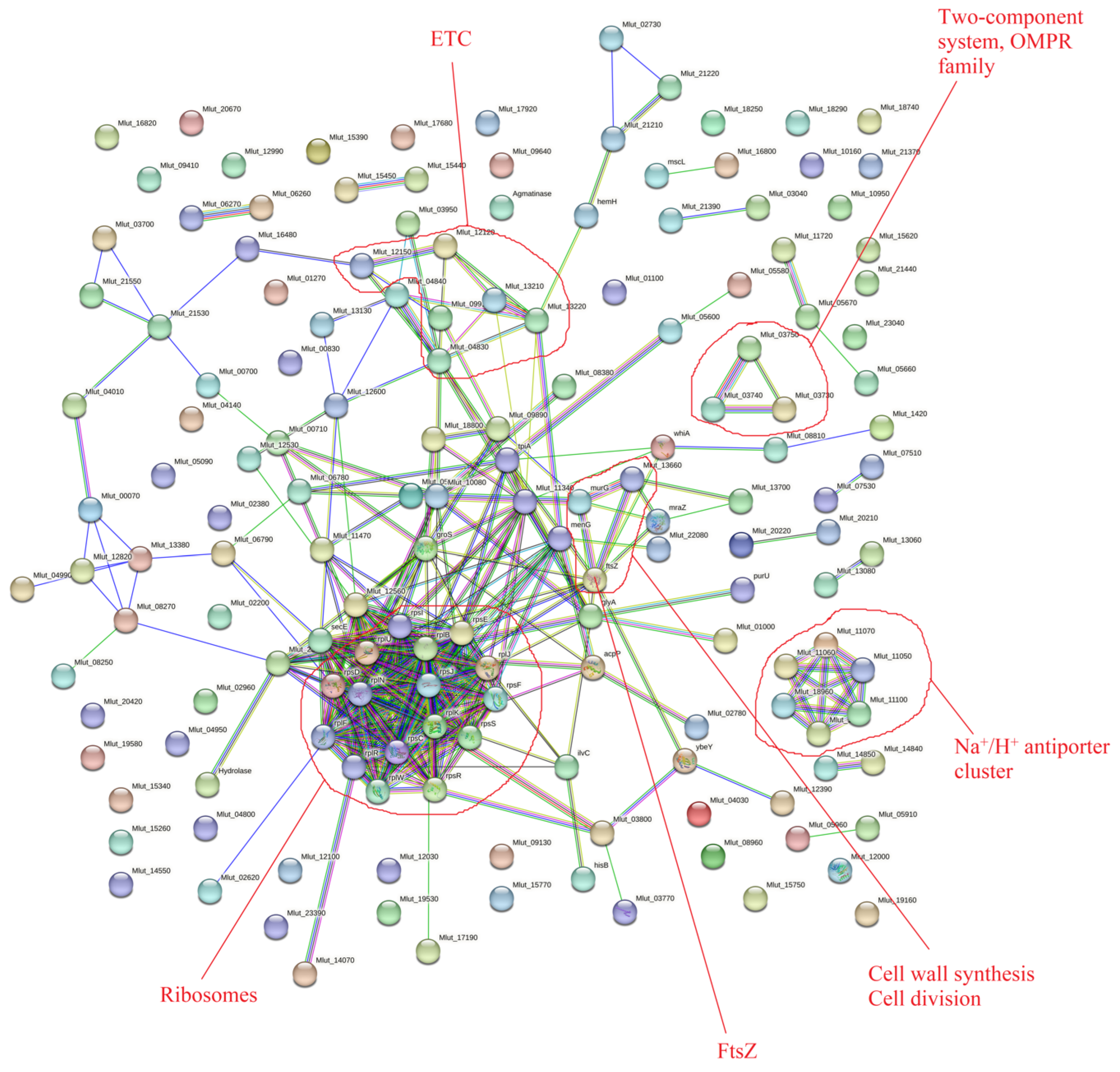 Microorganisms 11 02181 g002
