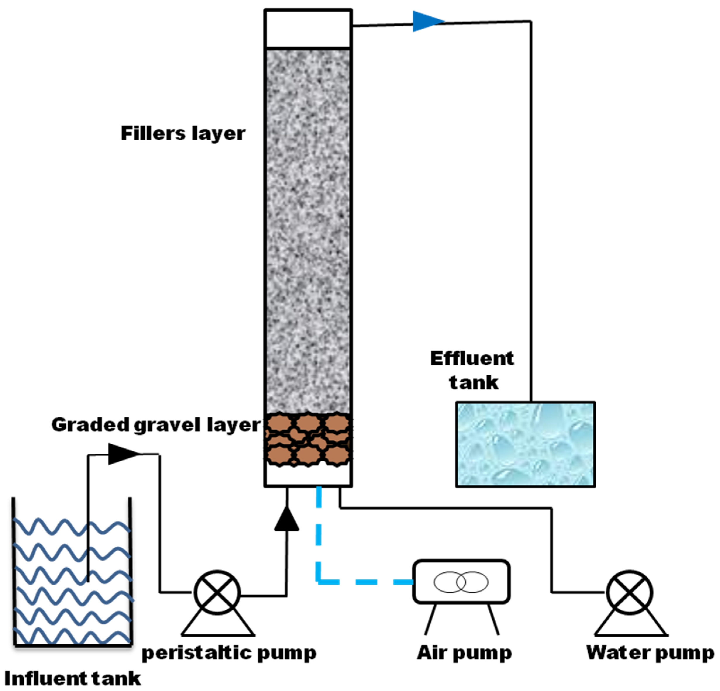Microorganisms 11 02185 g001