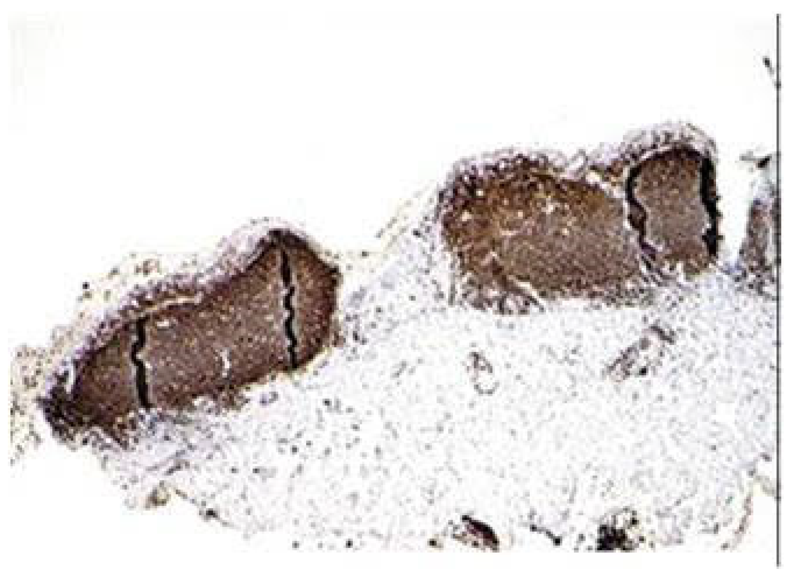 Microorganisms 11 02198 g002