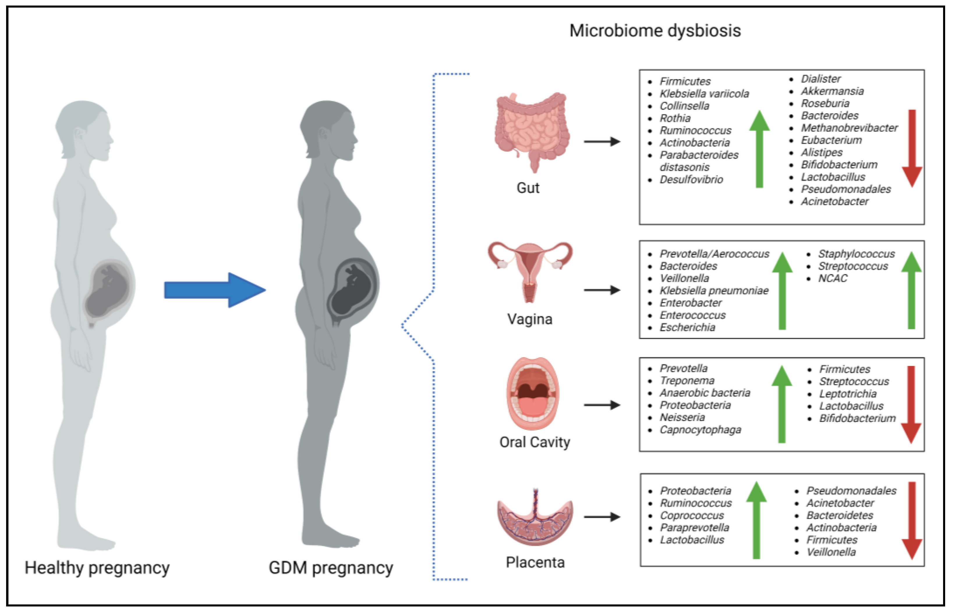 Microorganisms 11 02217 g003