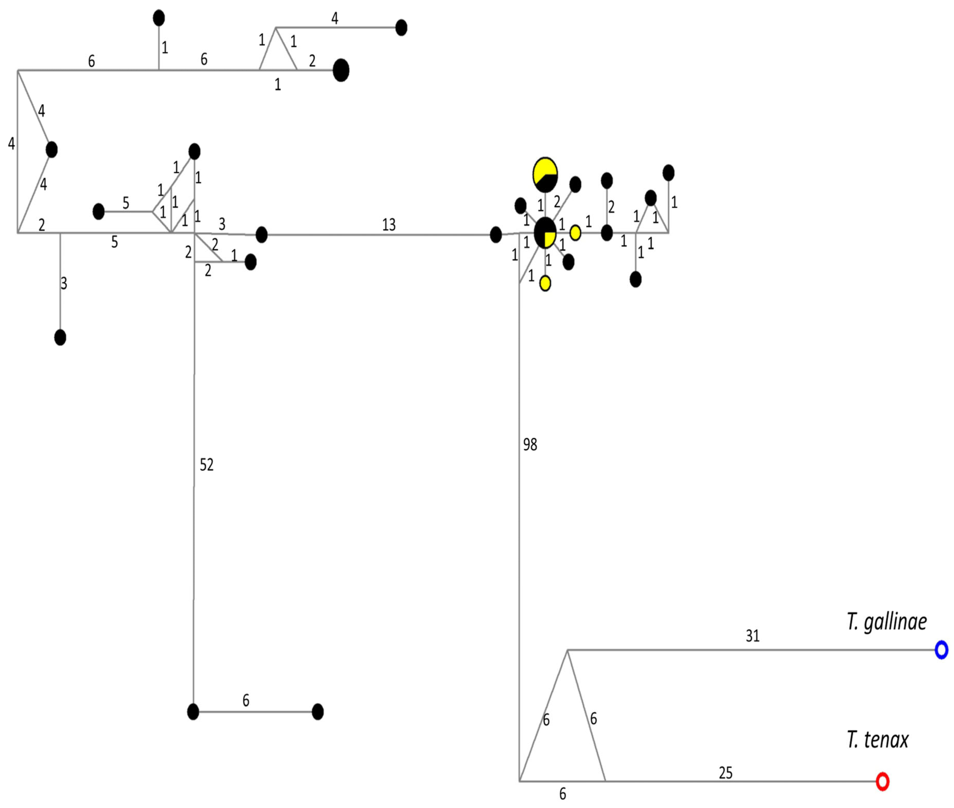 Microorganisms 11 02240 g003