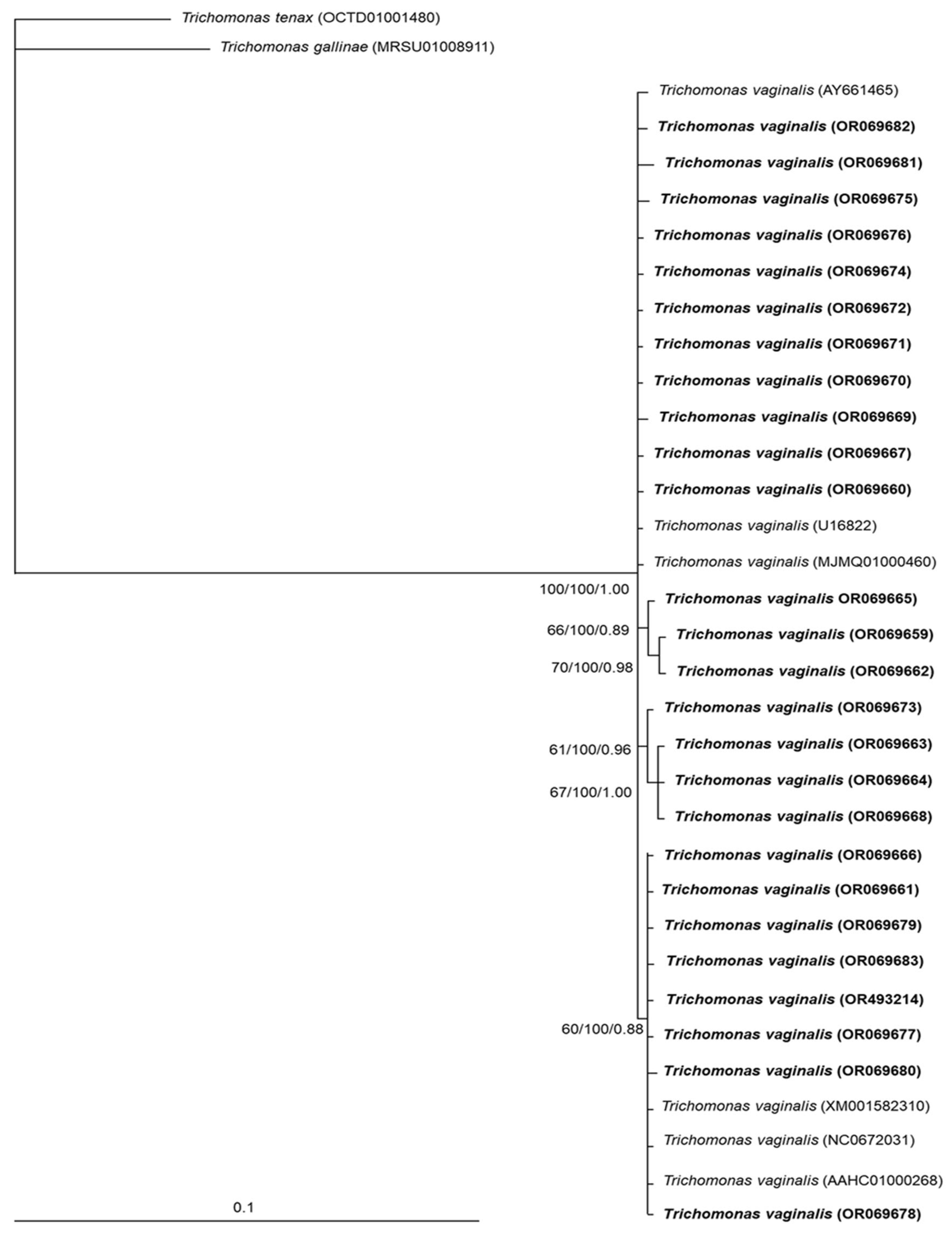 Microorganisms 11 02240 g004