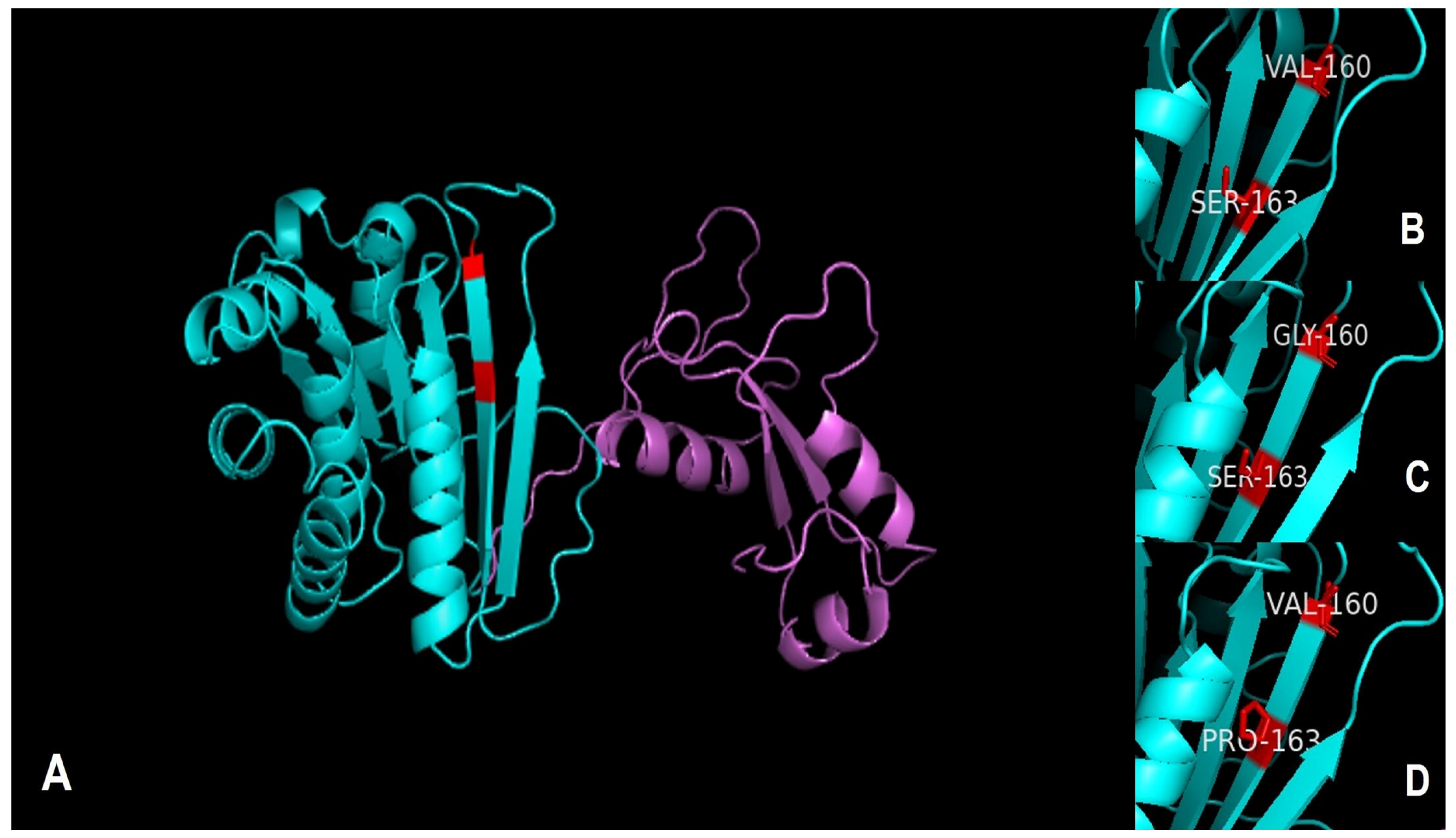 Microorganisms 11 02240 g005