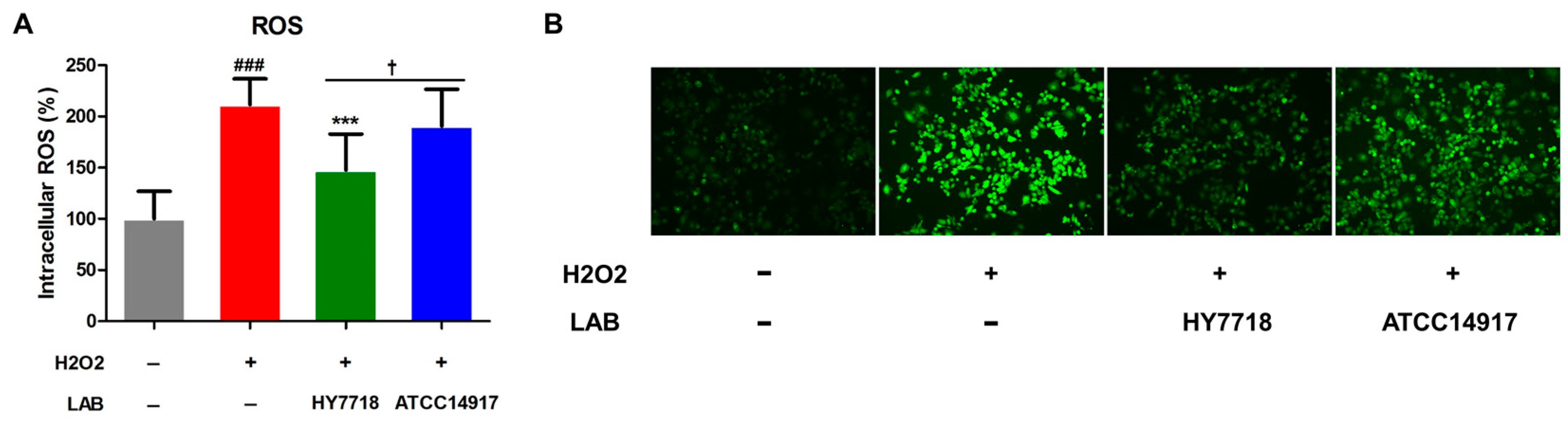 Microorganisms 11 02254 g007