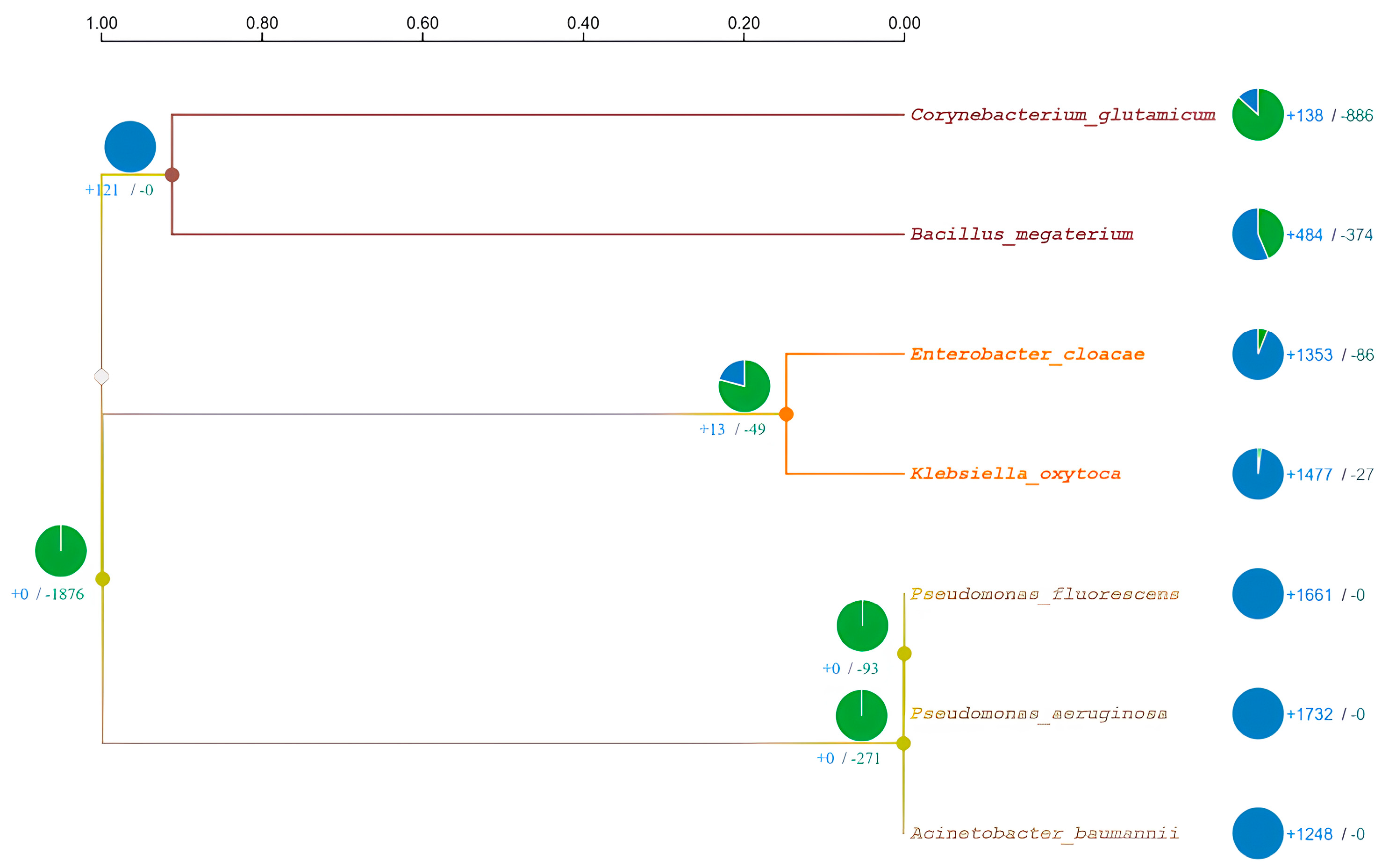 Microorganisms 11 02262 g004