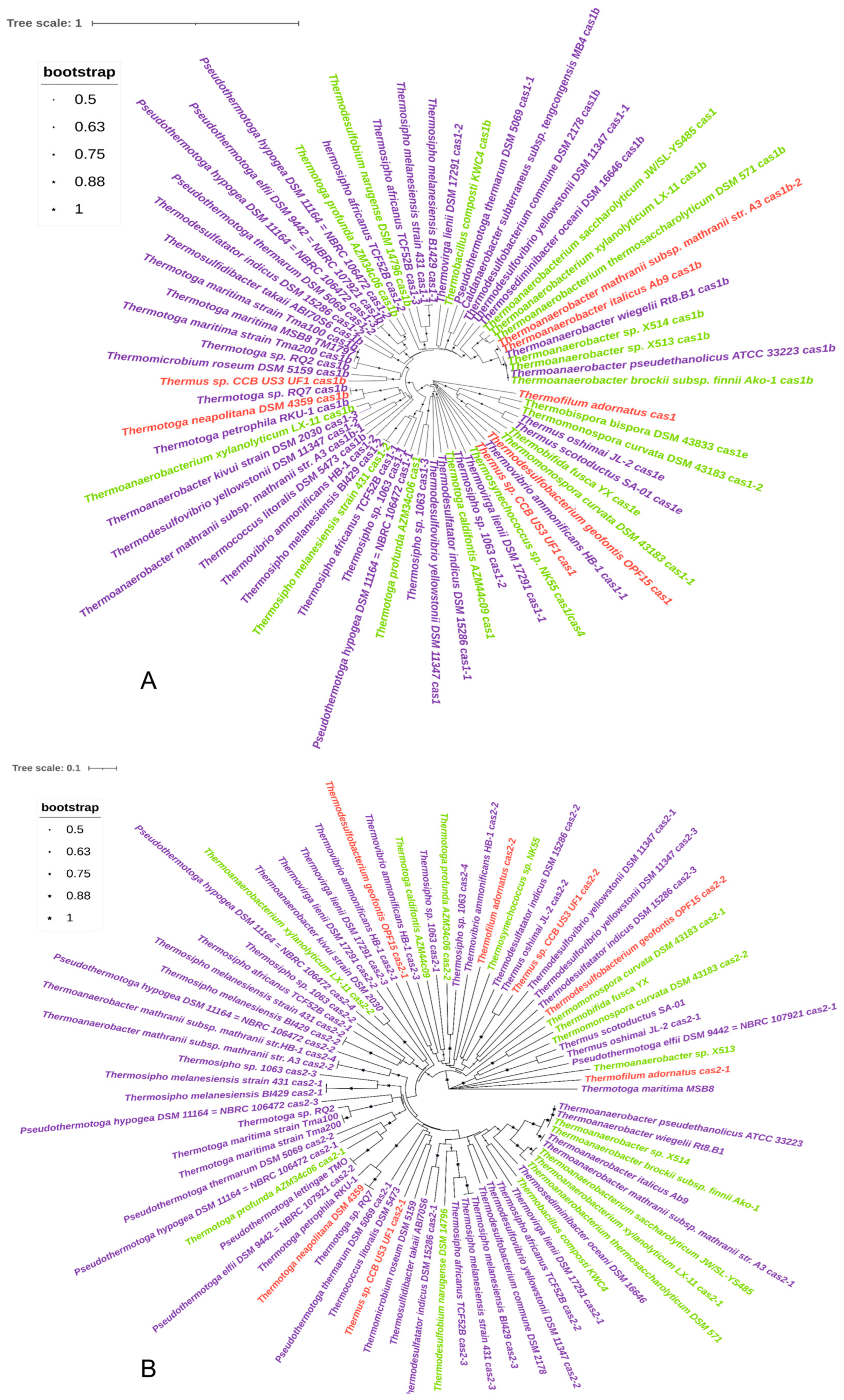 Microorganisms 11 02275 g002