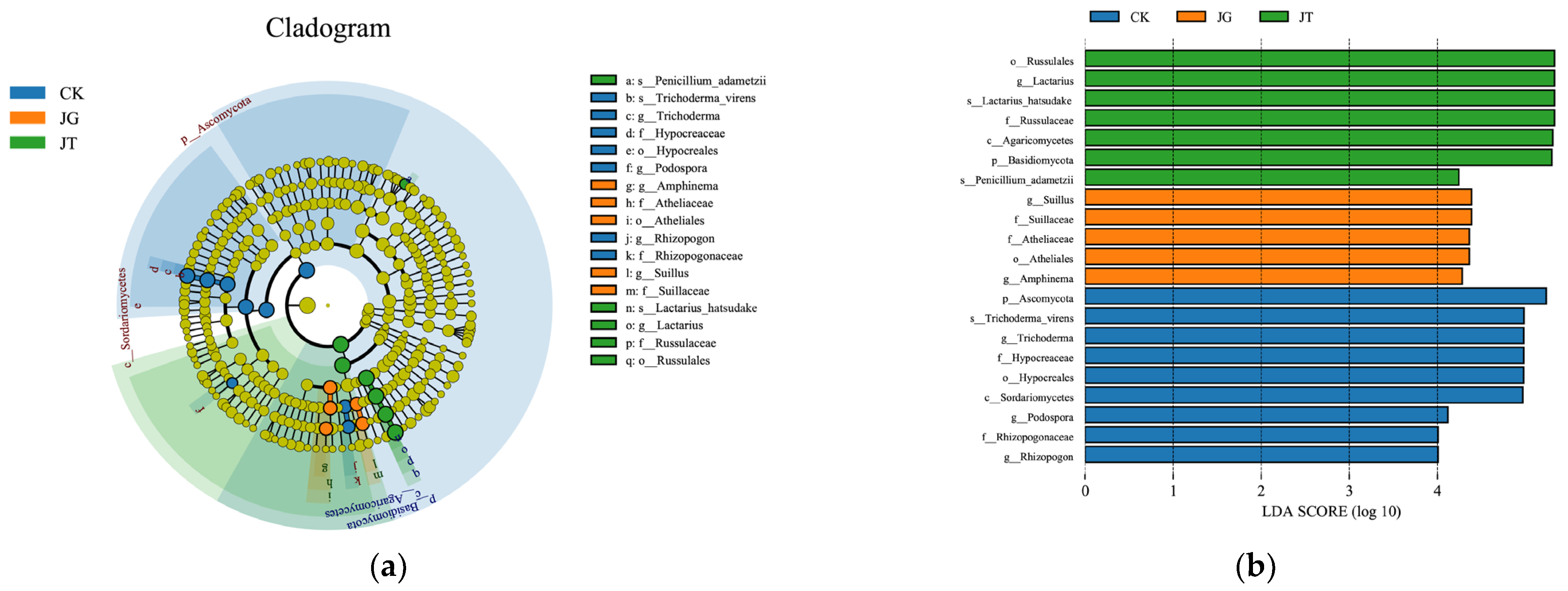 Microorganisms 11 02279 g005