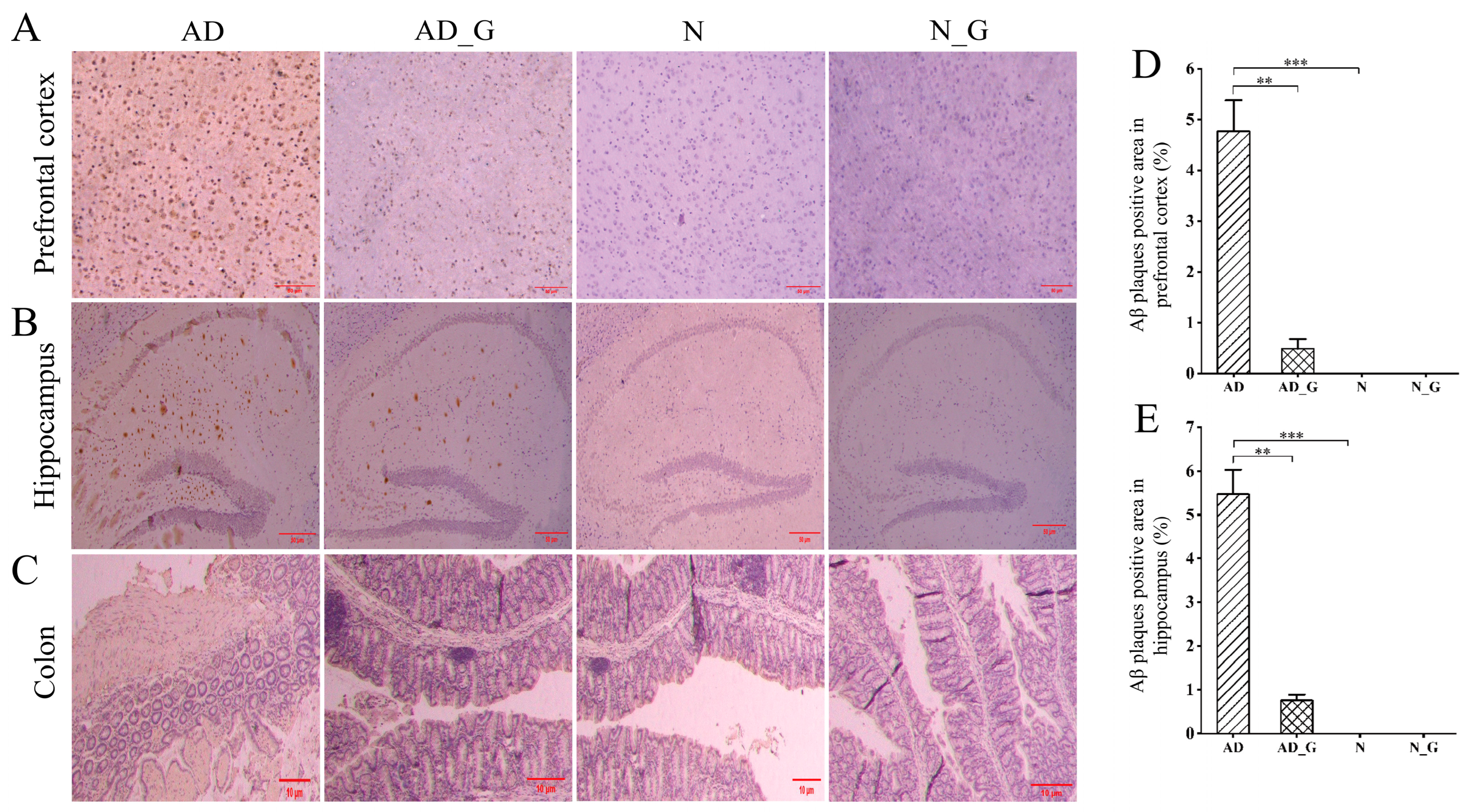 Microorganisms 11 02306 g001