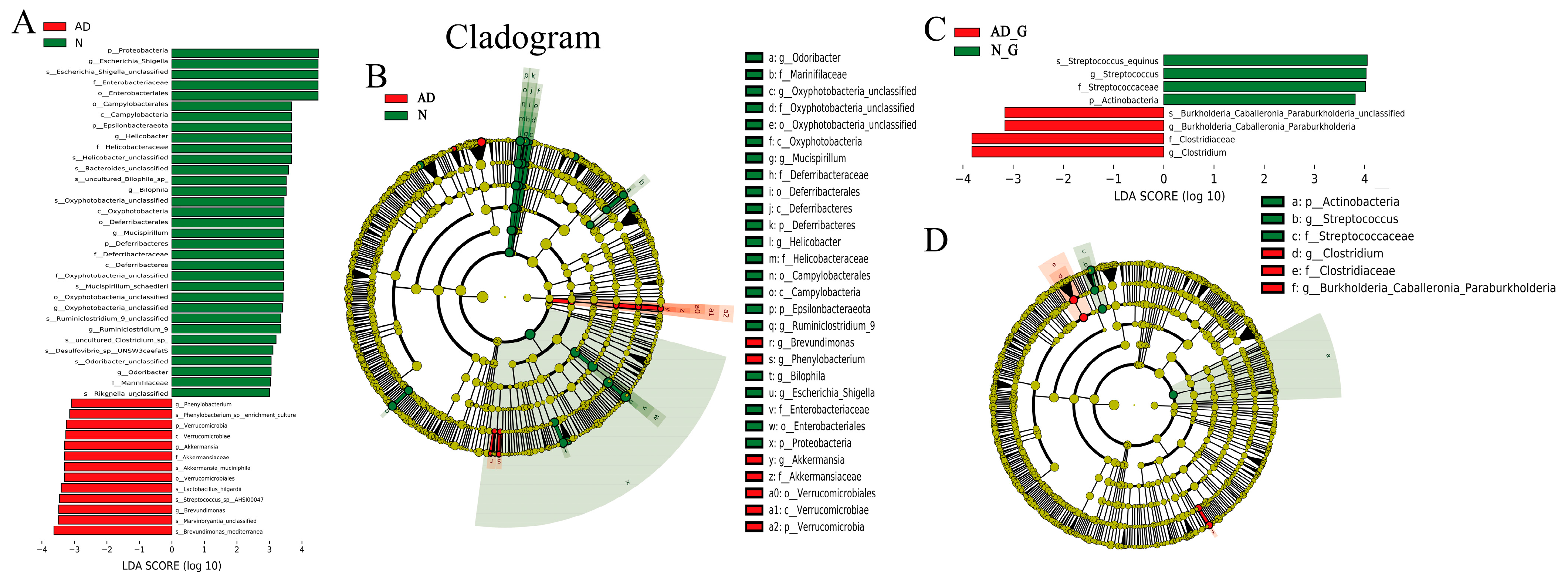 Microorganisms 11 02306 g004