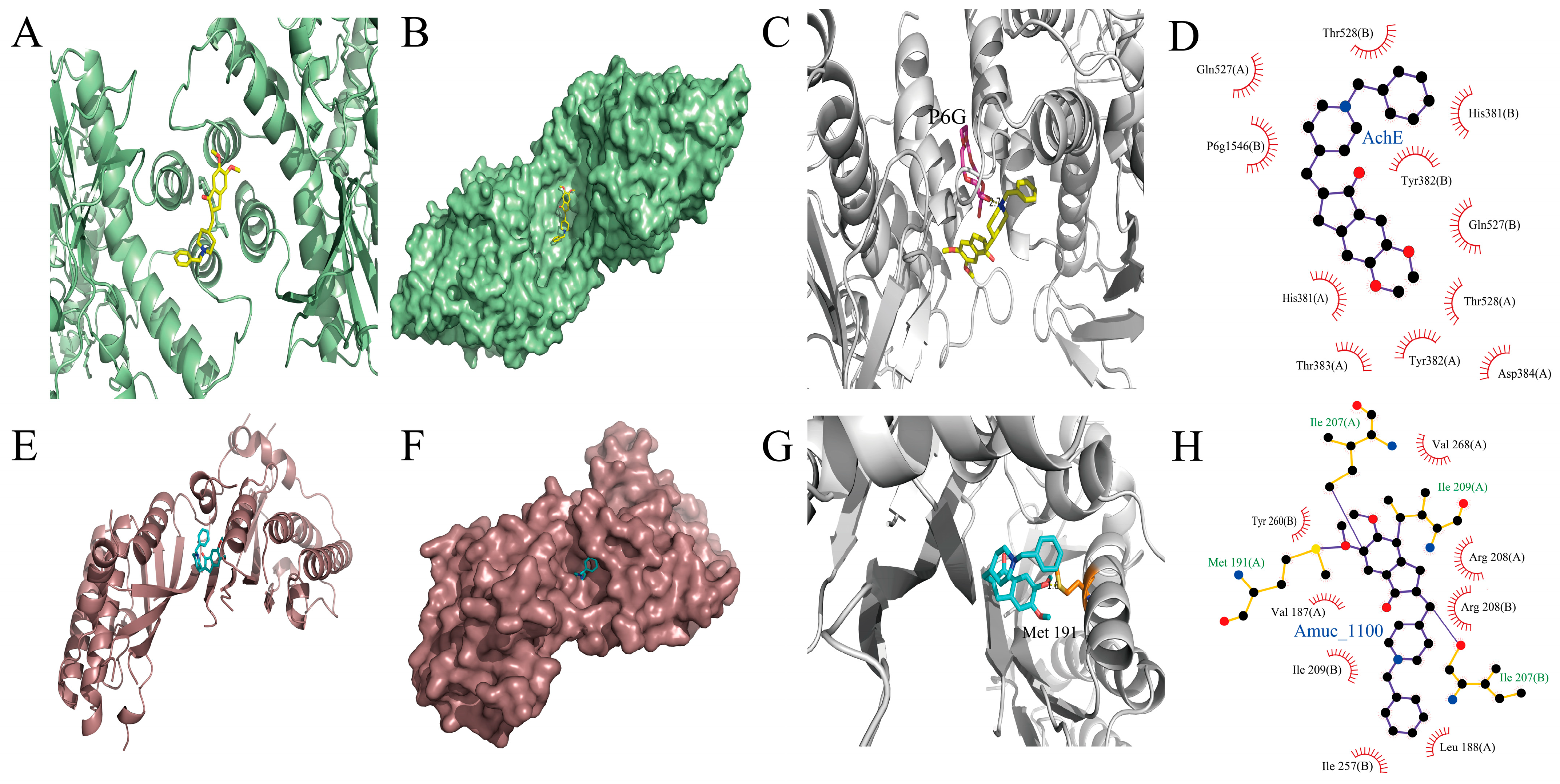 Microorganisms 11 02306 g007