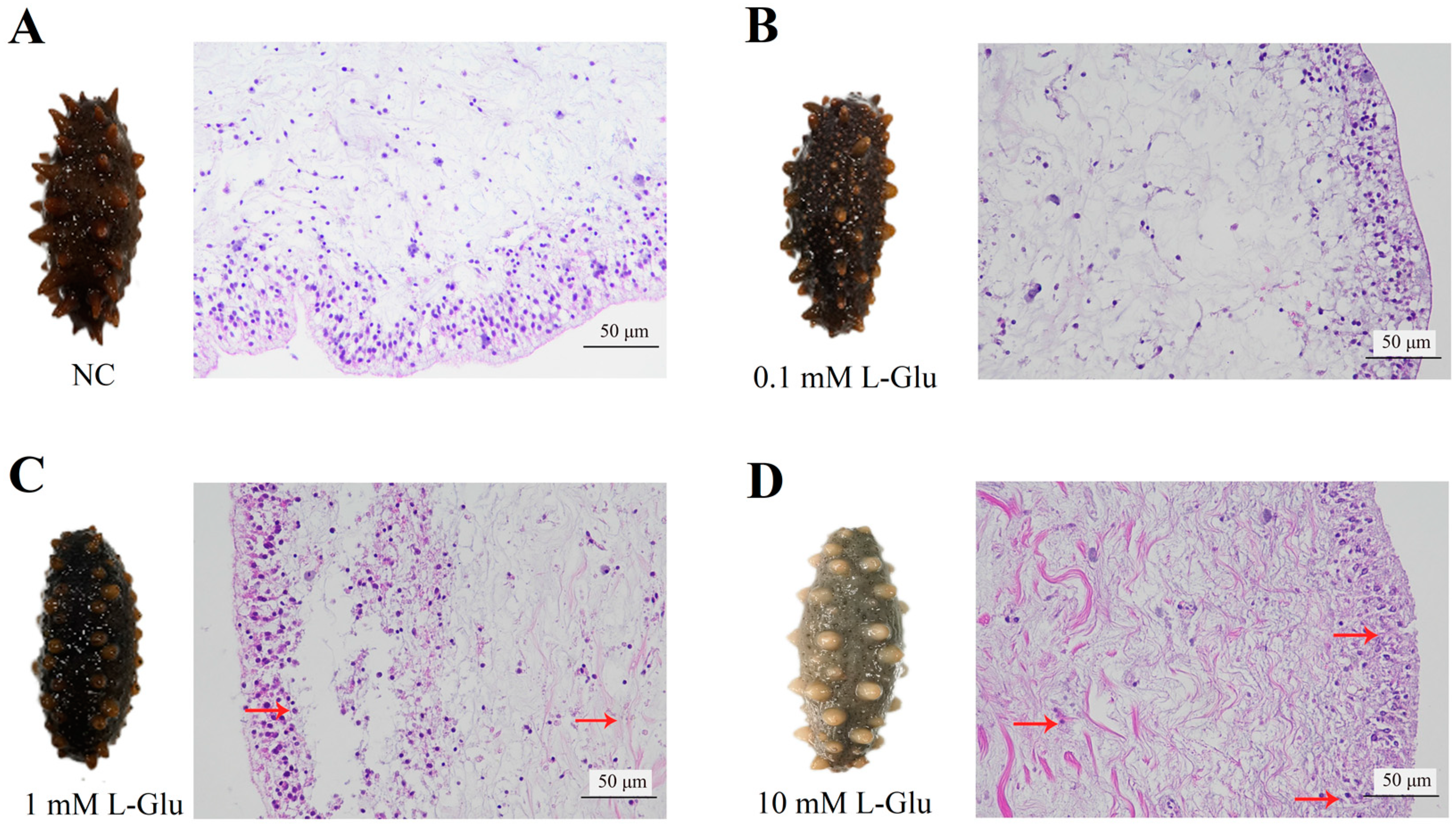 Microorganisms 11 02333 g002 Microorganisms 11 02333 g002